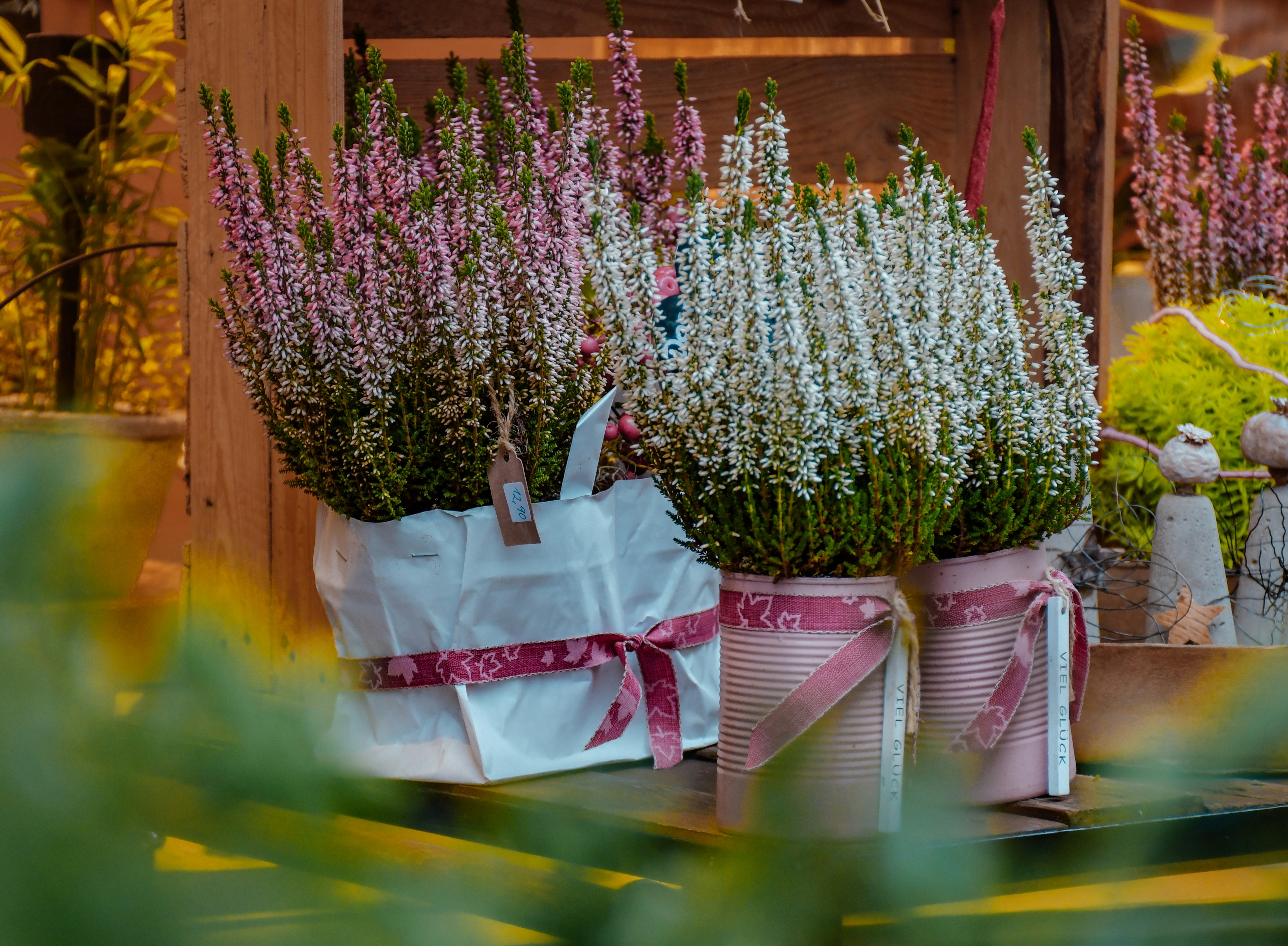 A bunch of flowers that are sitting in vases