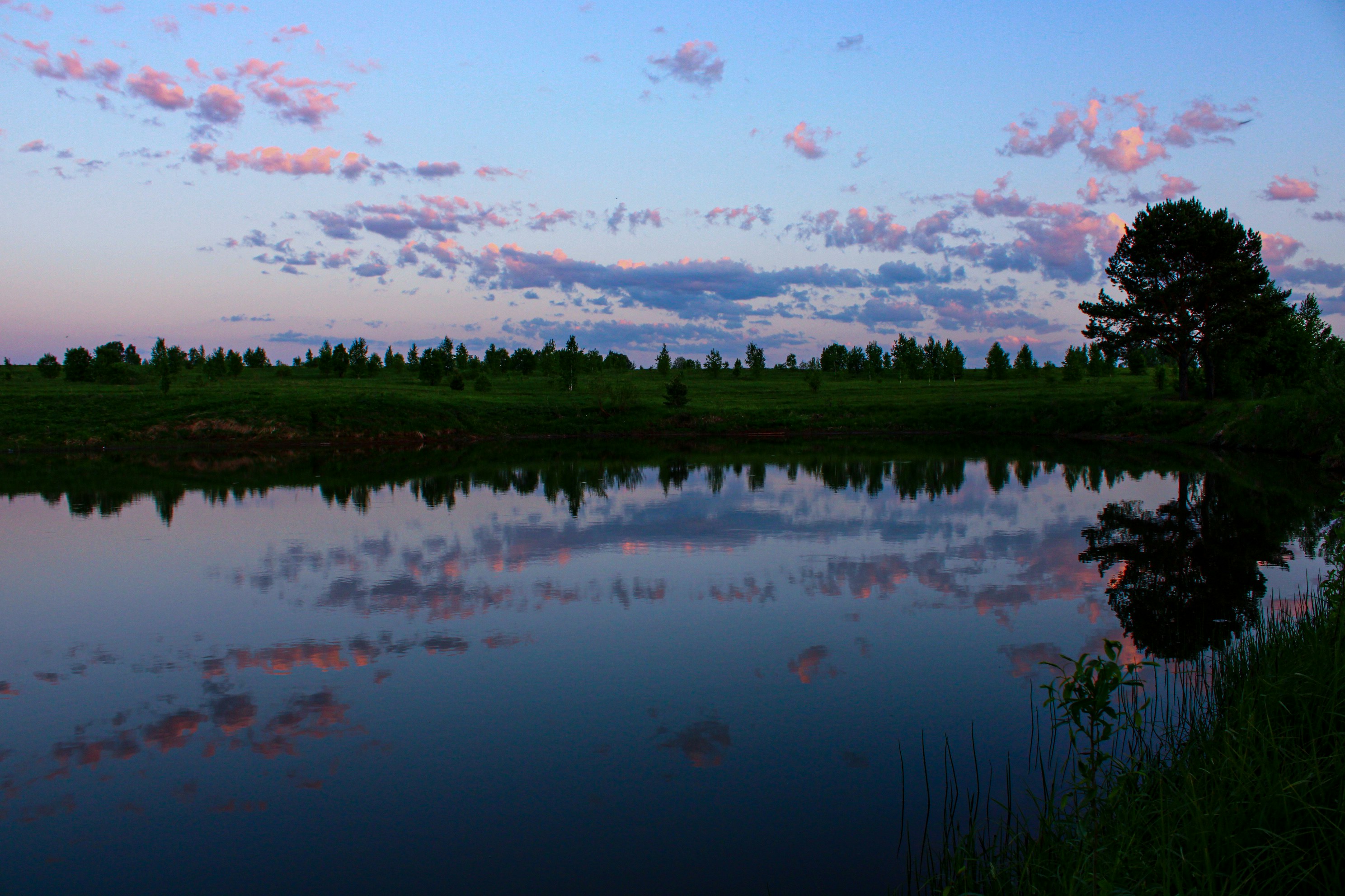 Photo by slenderamigo