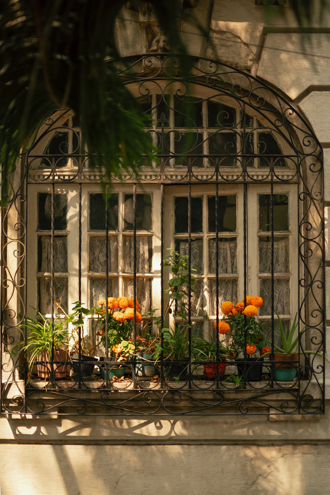 A wrought-iron window with orange marigolds in Roma Norte