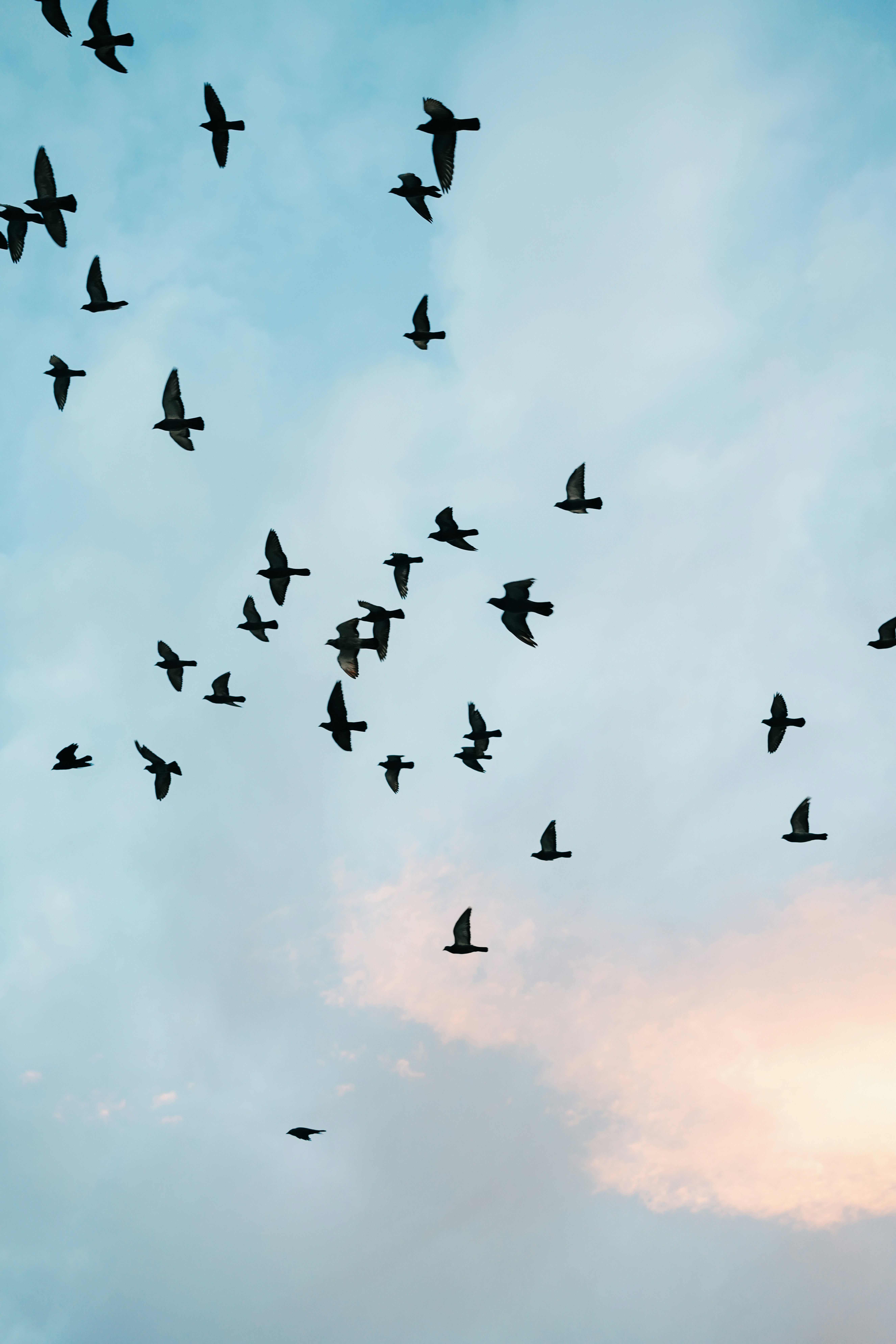 Photo by shushan_mln