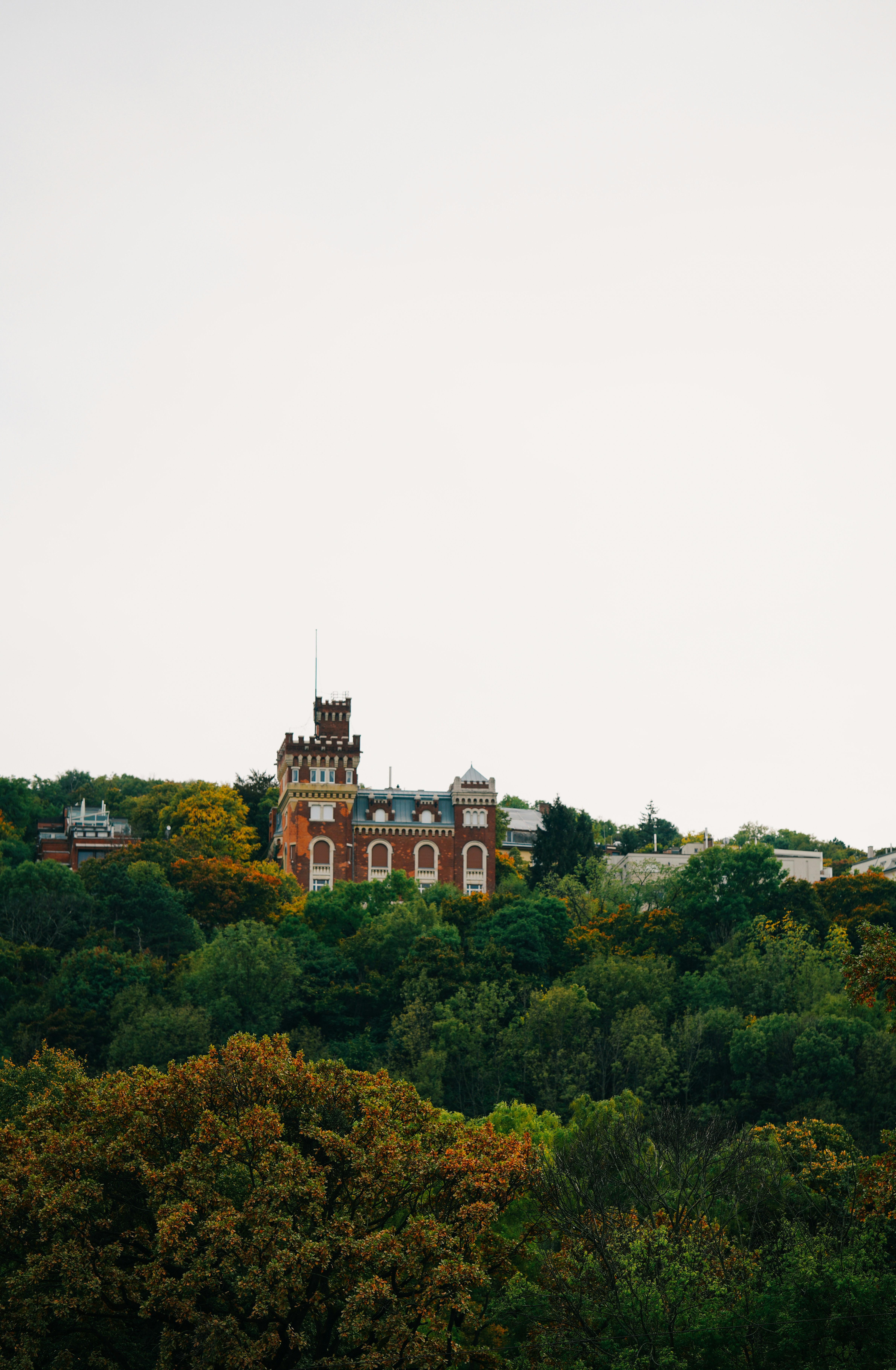 Photo by shushan_mln