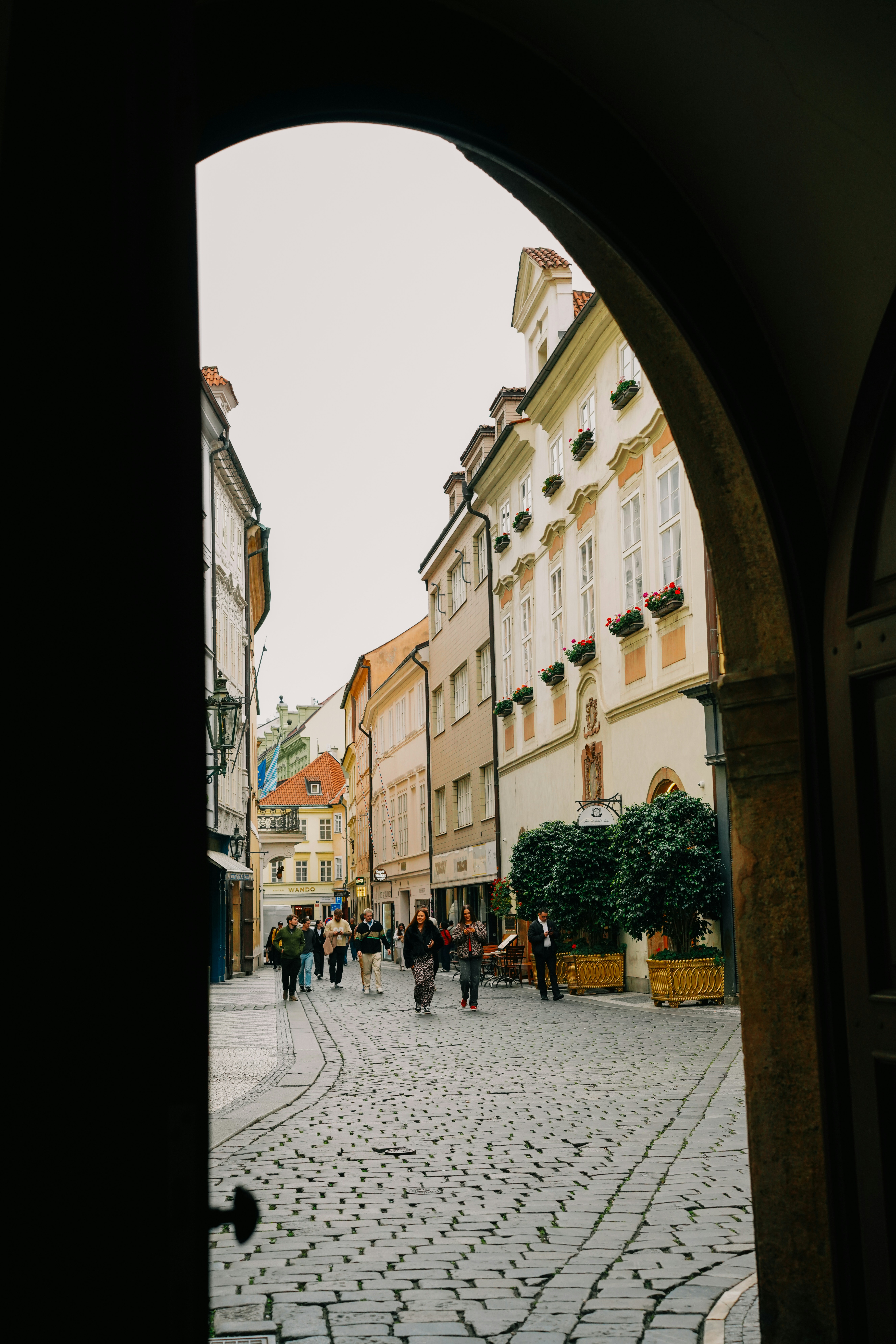 Photo by shushan_mln