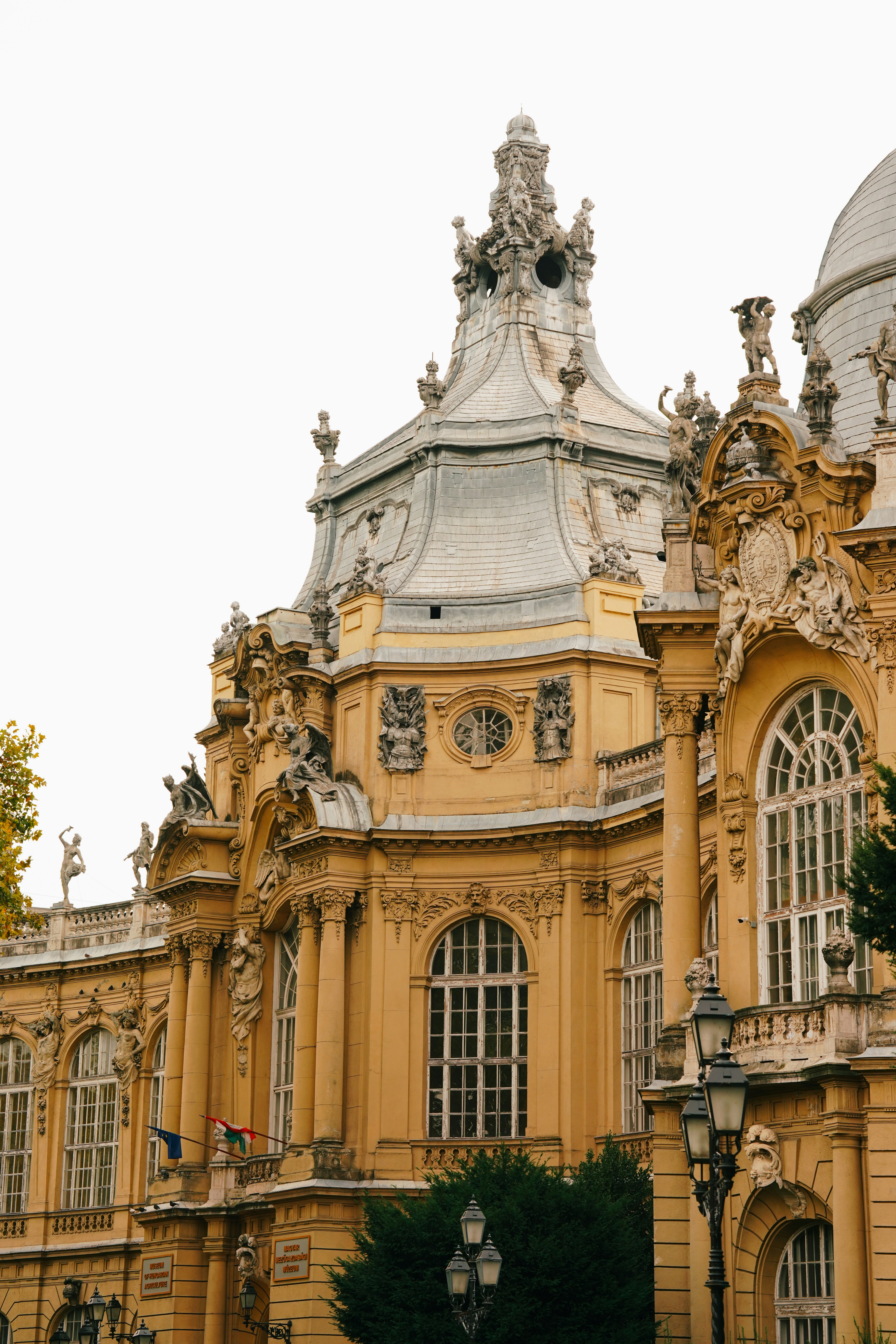 Photo by shushan_mln