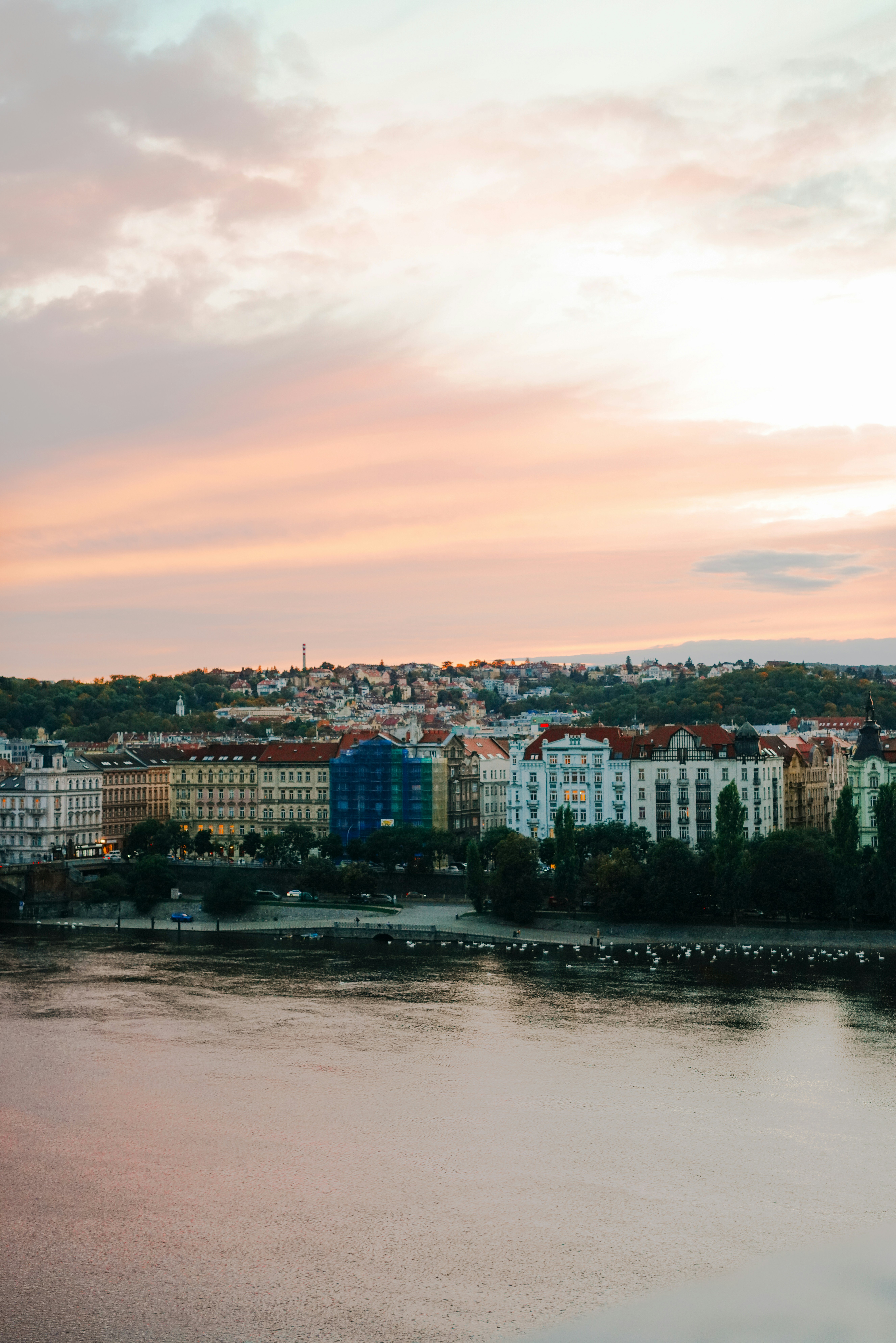 Photo by shushan_mln