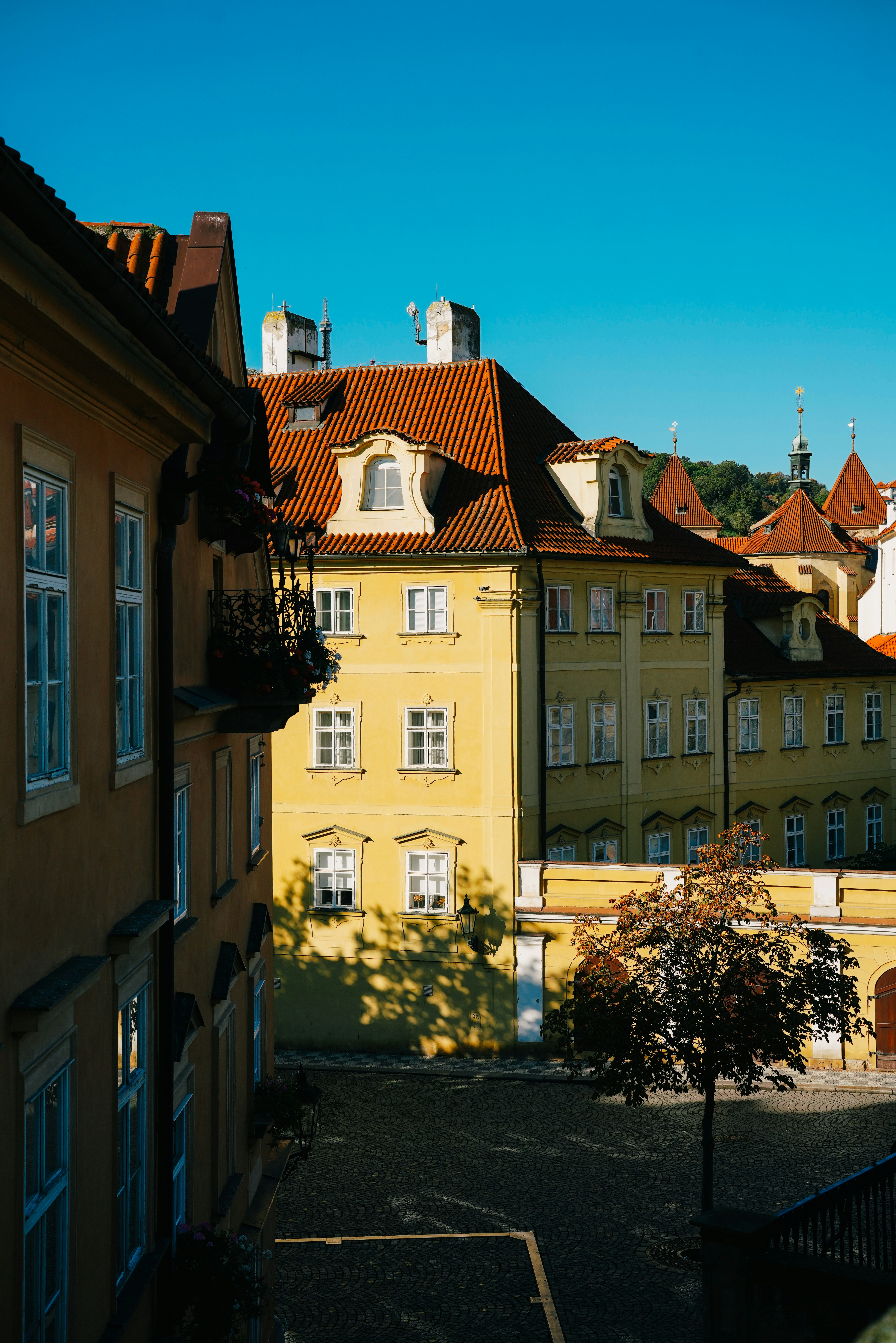 Photo by shushan_mln