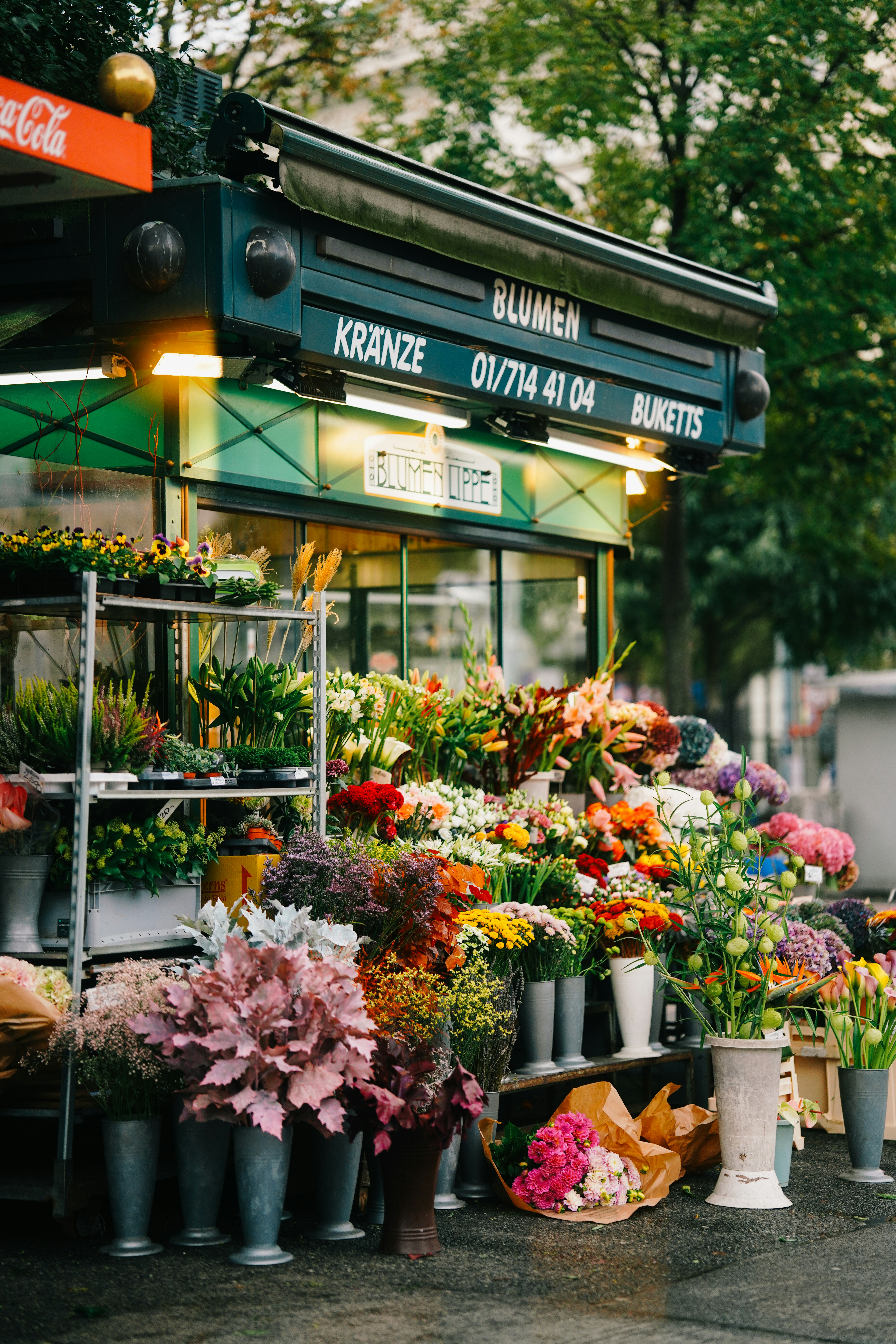 Photo by shushan_mln