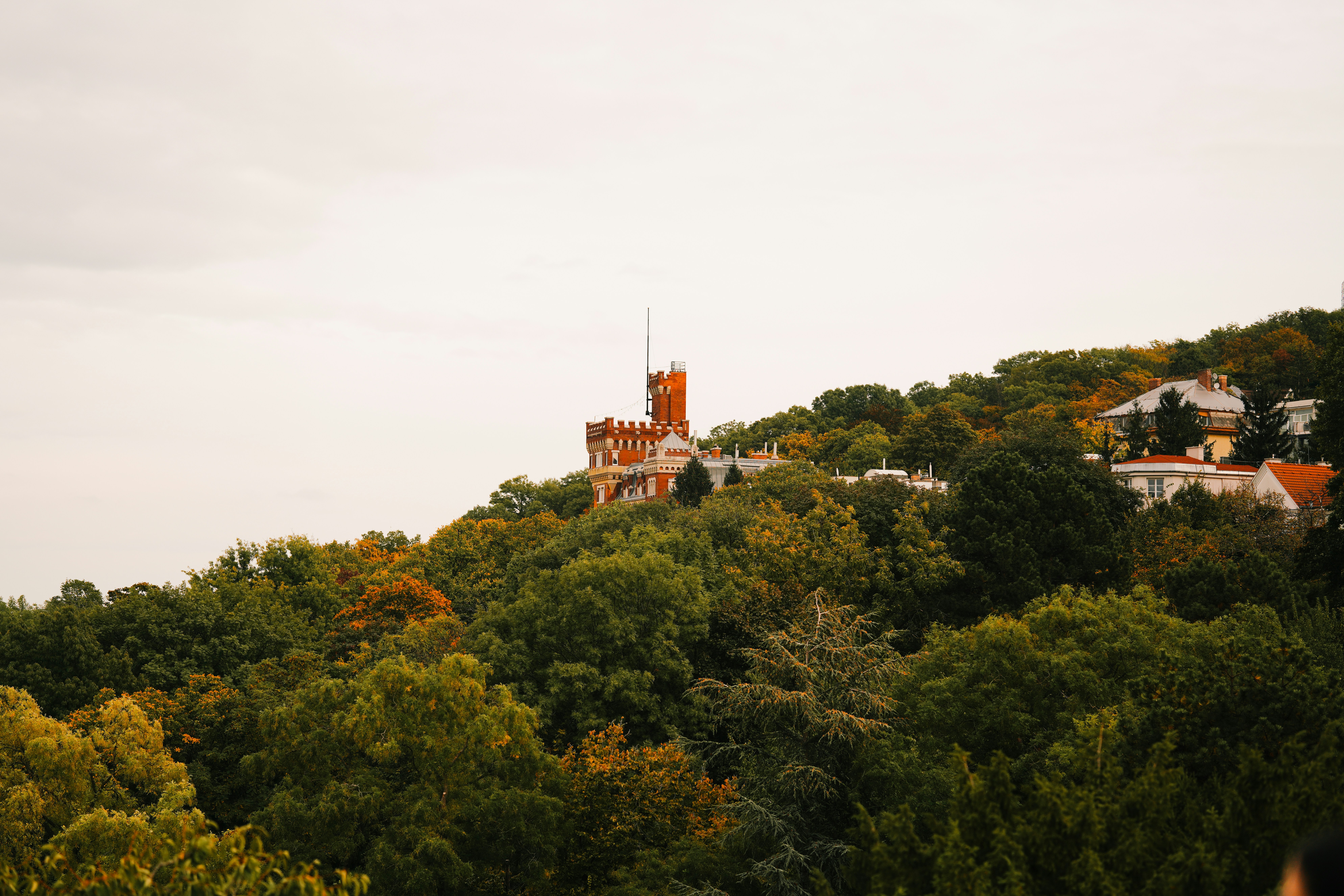 A view of a building on a hill with trees in the foreground