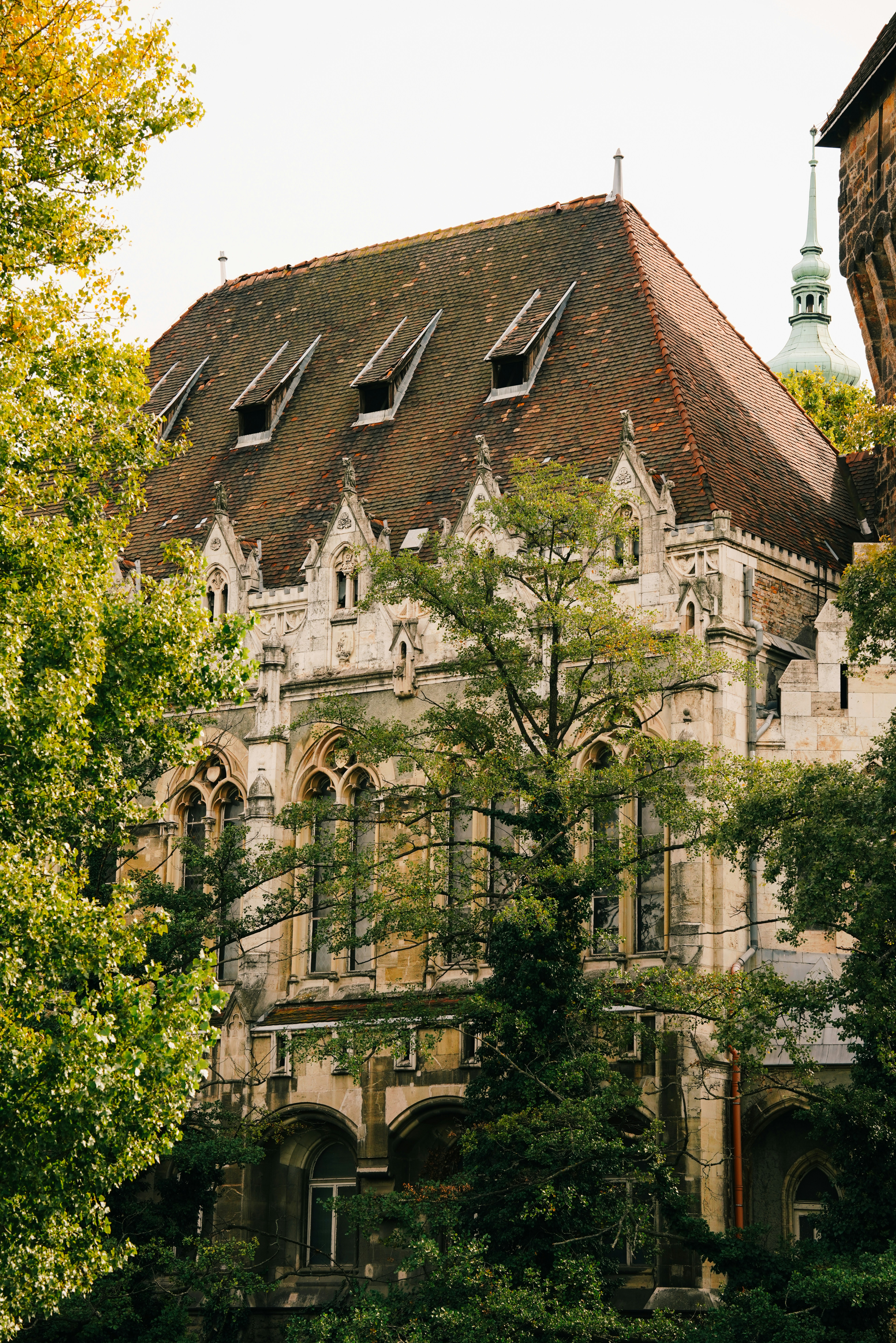 Photo by shushan_mln