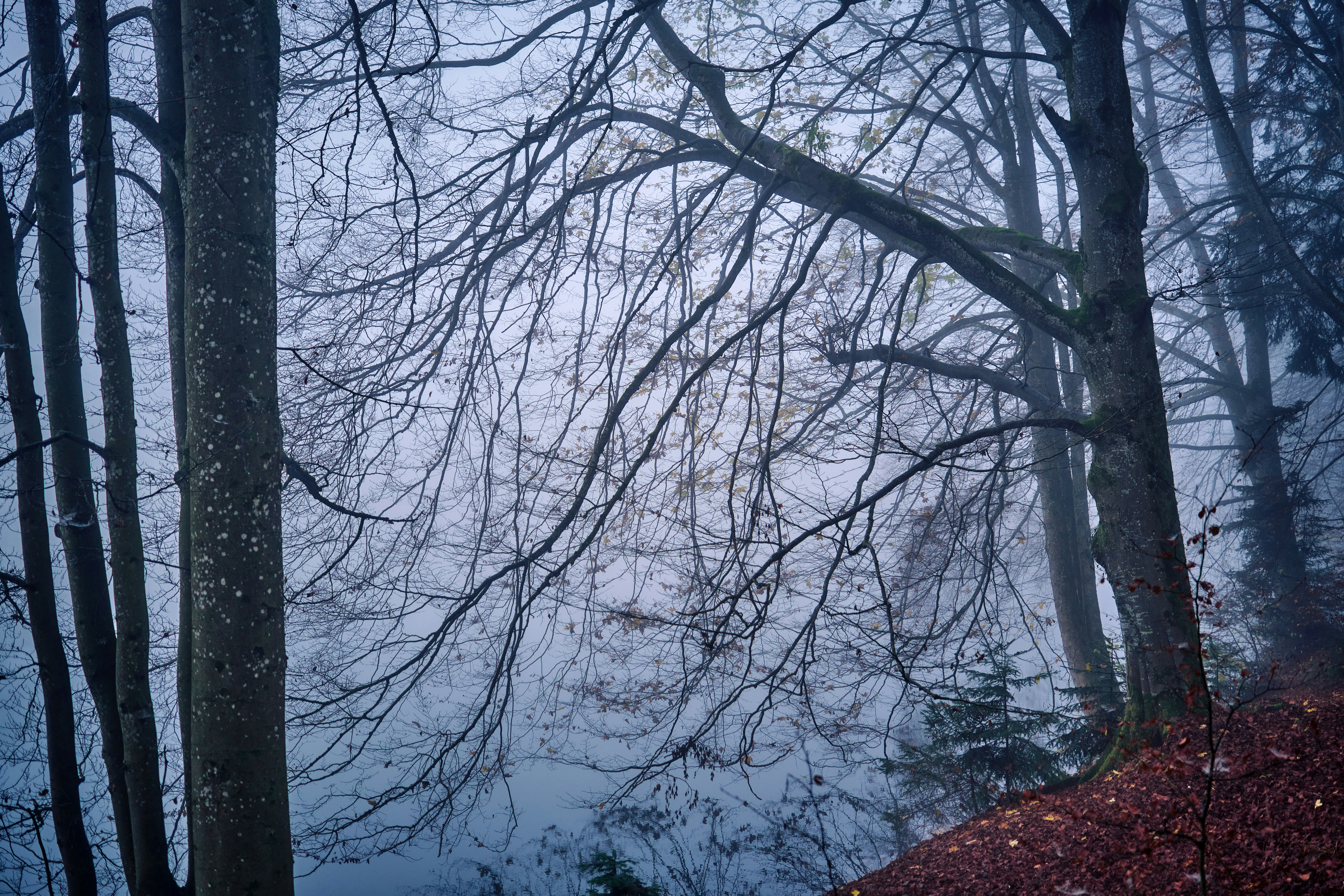 Photo by marcus_ganahl