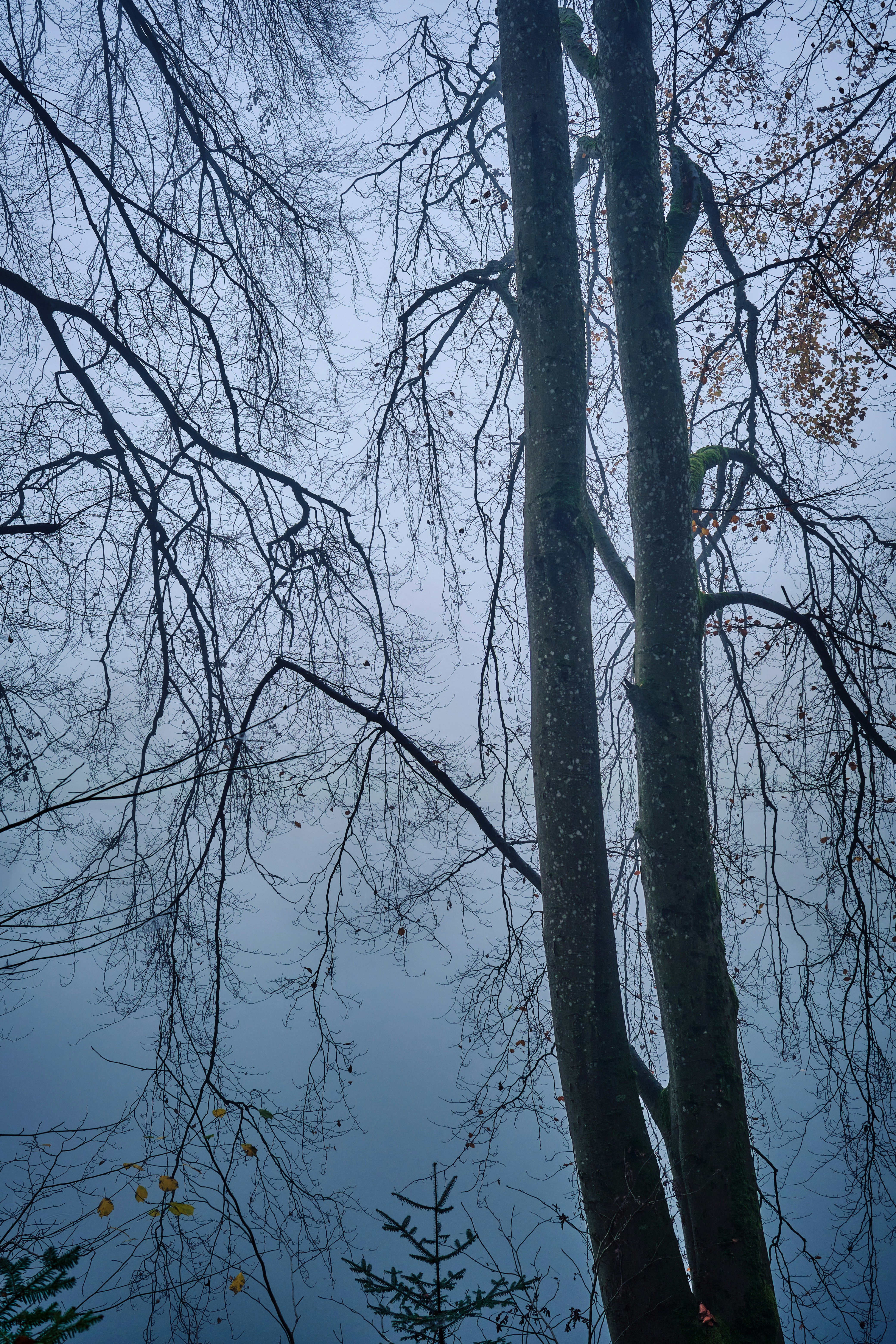 Photo by marcus_ganahl