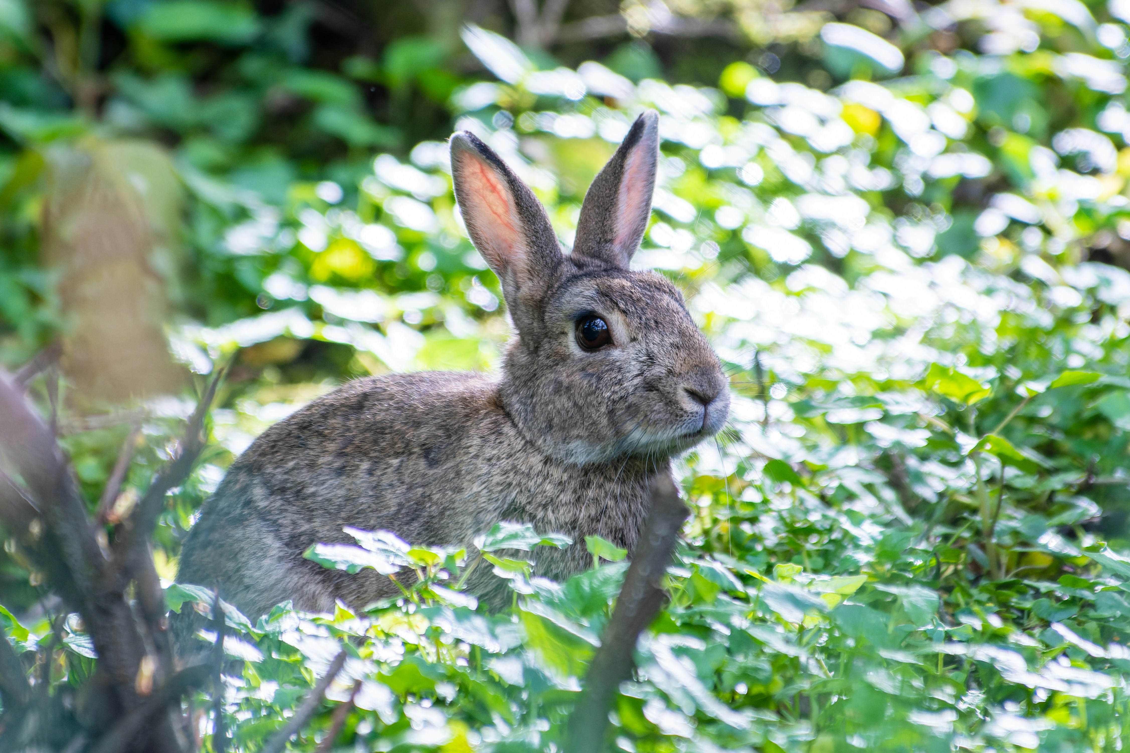 Photo by colombe_photographie