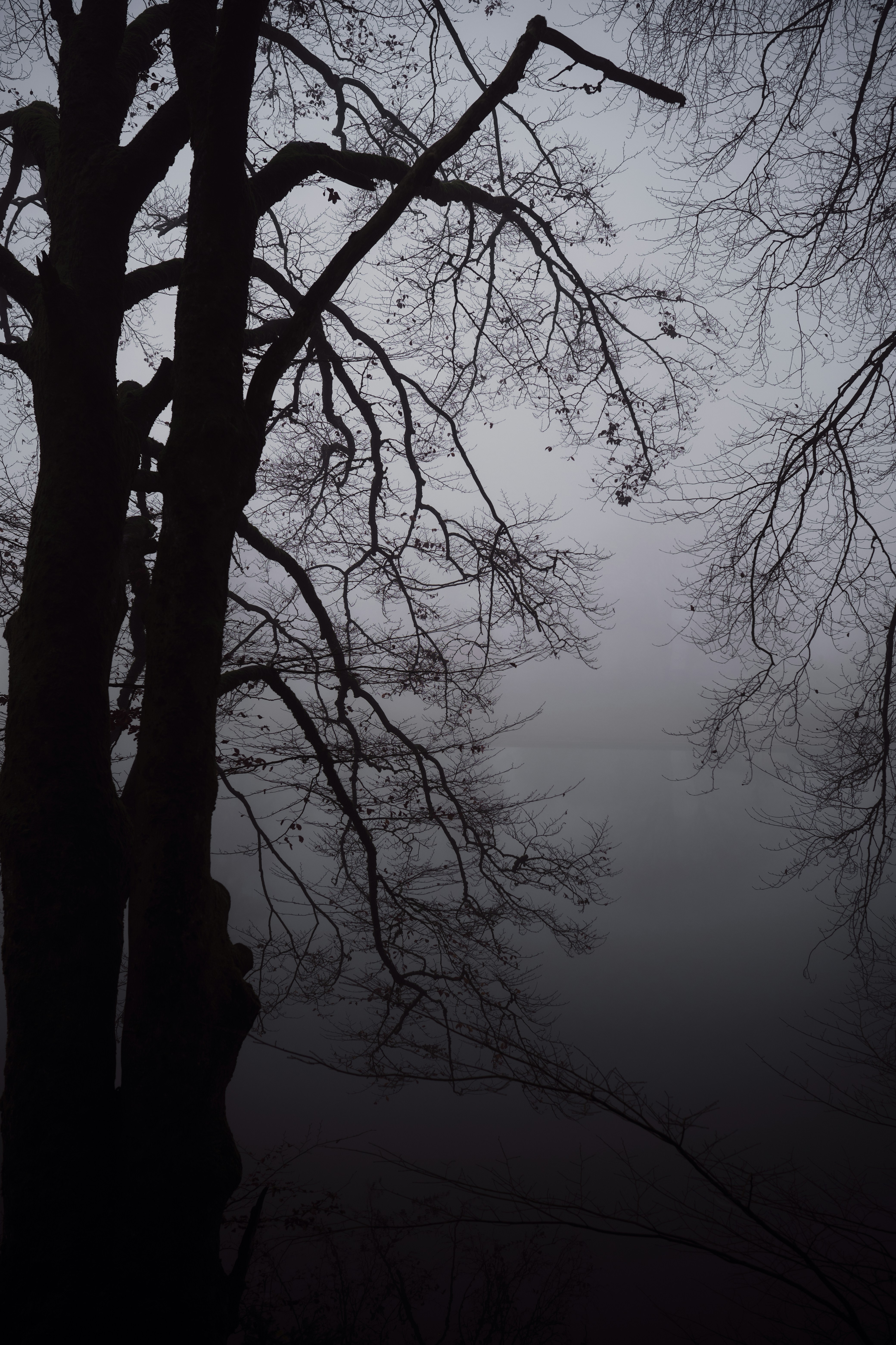 Photo by marcus_ganahl