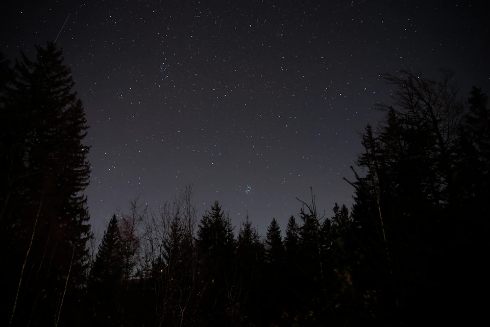 Serene night sky with numerous stars against dark cloudy background and foreground trees