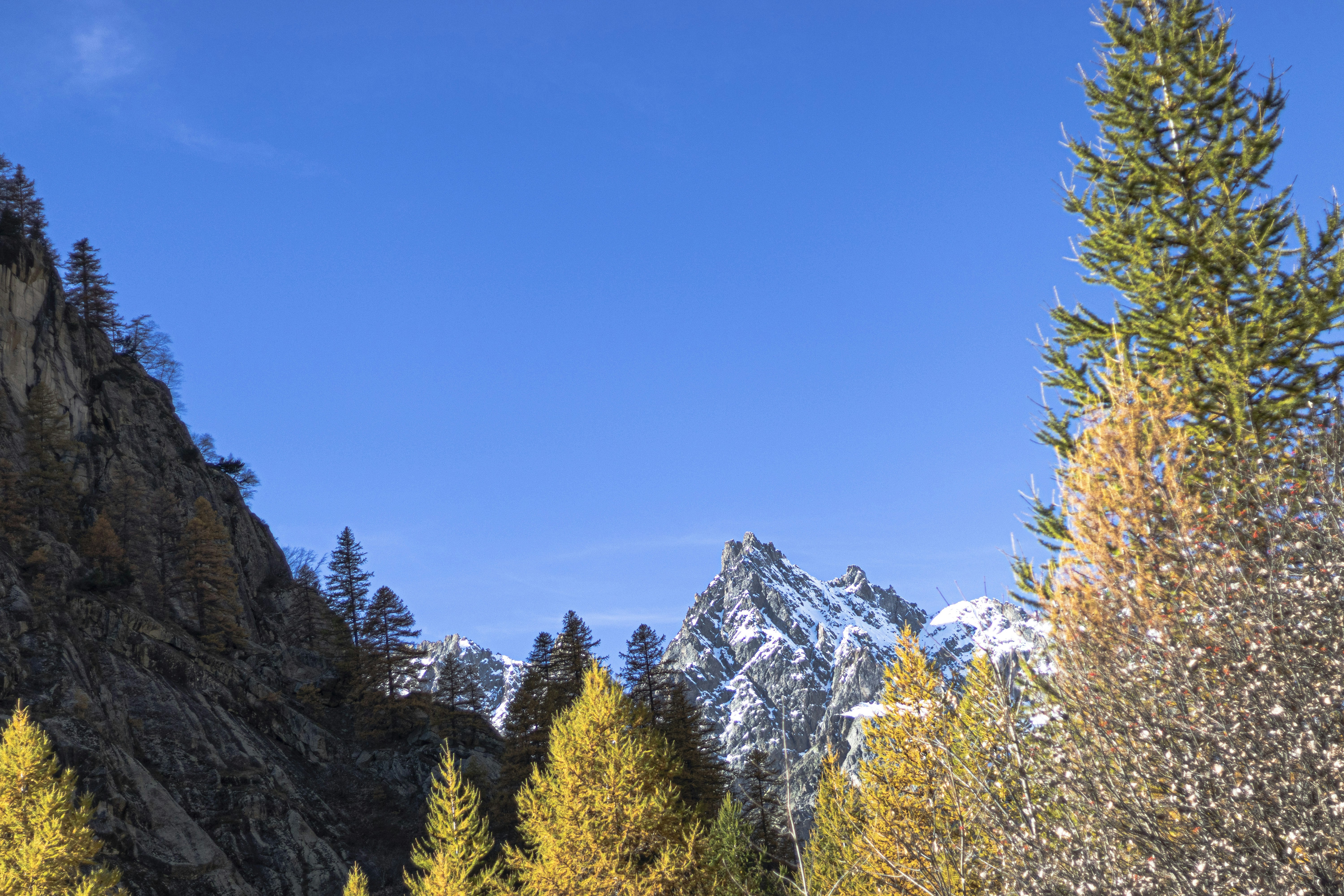 Photo by britosebastian