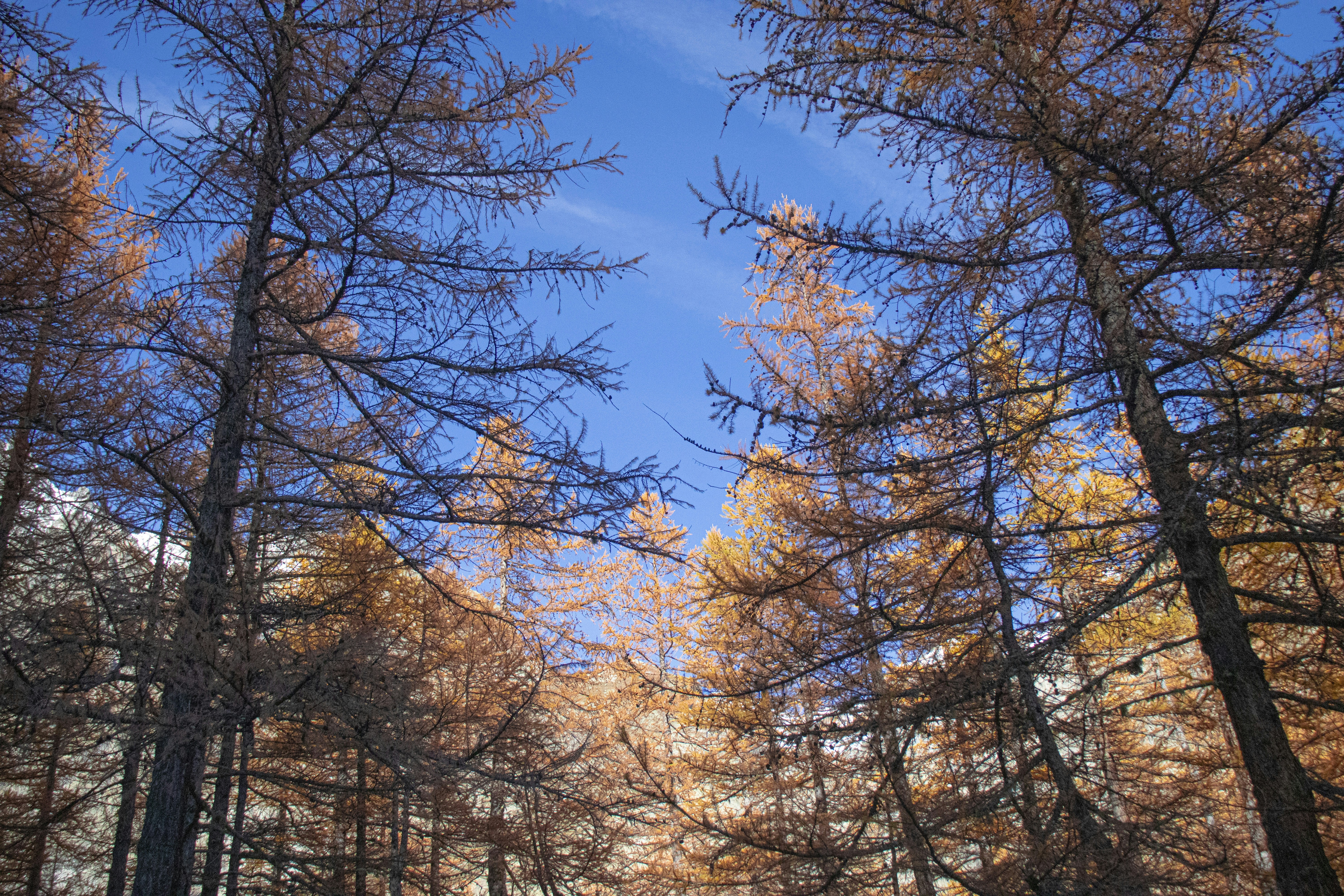 Photo by britosebastian