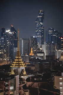 A view of a city skyline at night