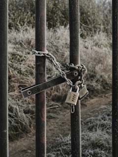 A bunch of metal bars with a padlock attached to them