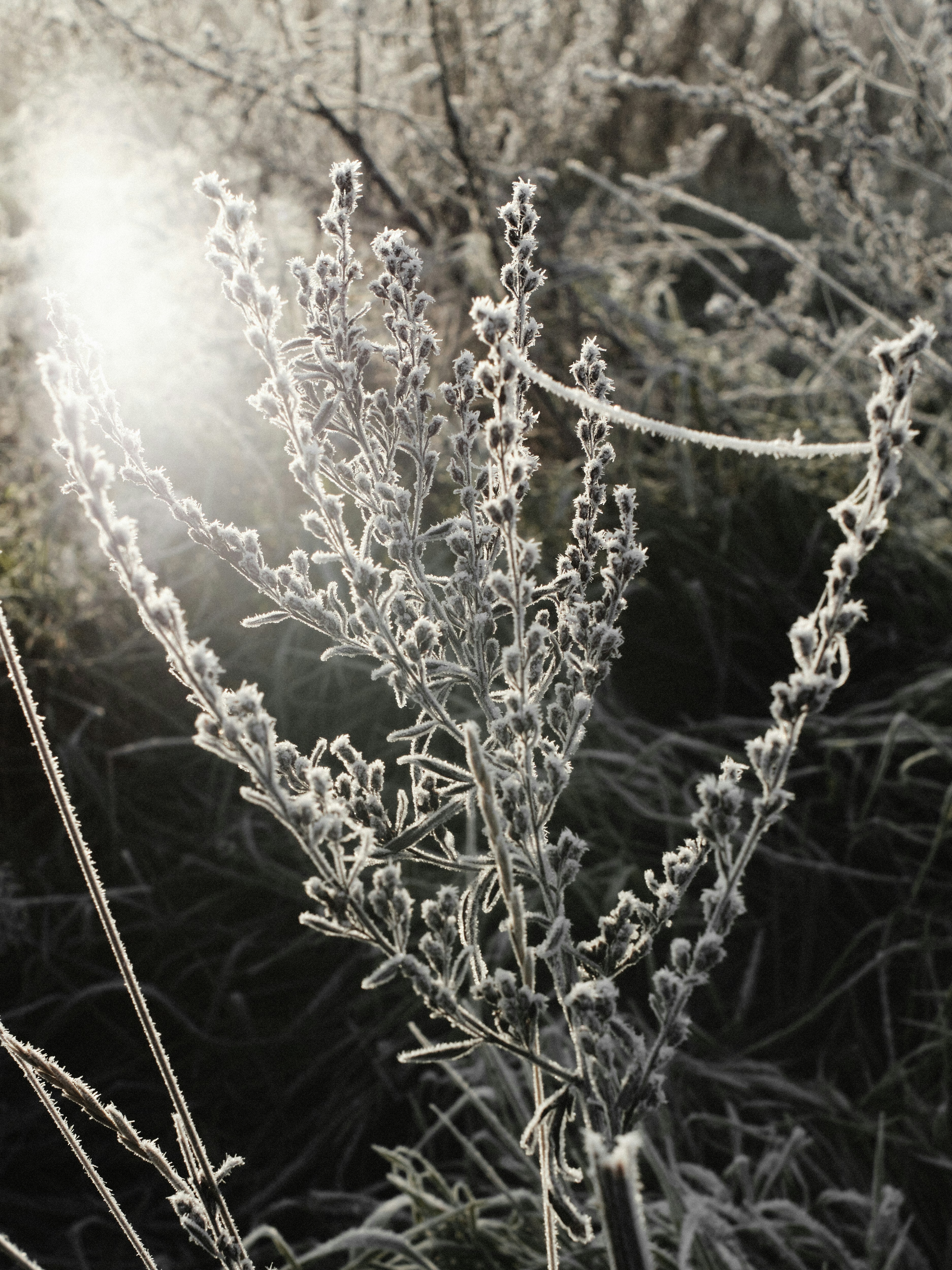 Photo by jkalina