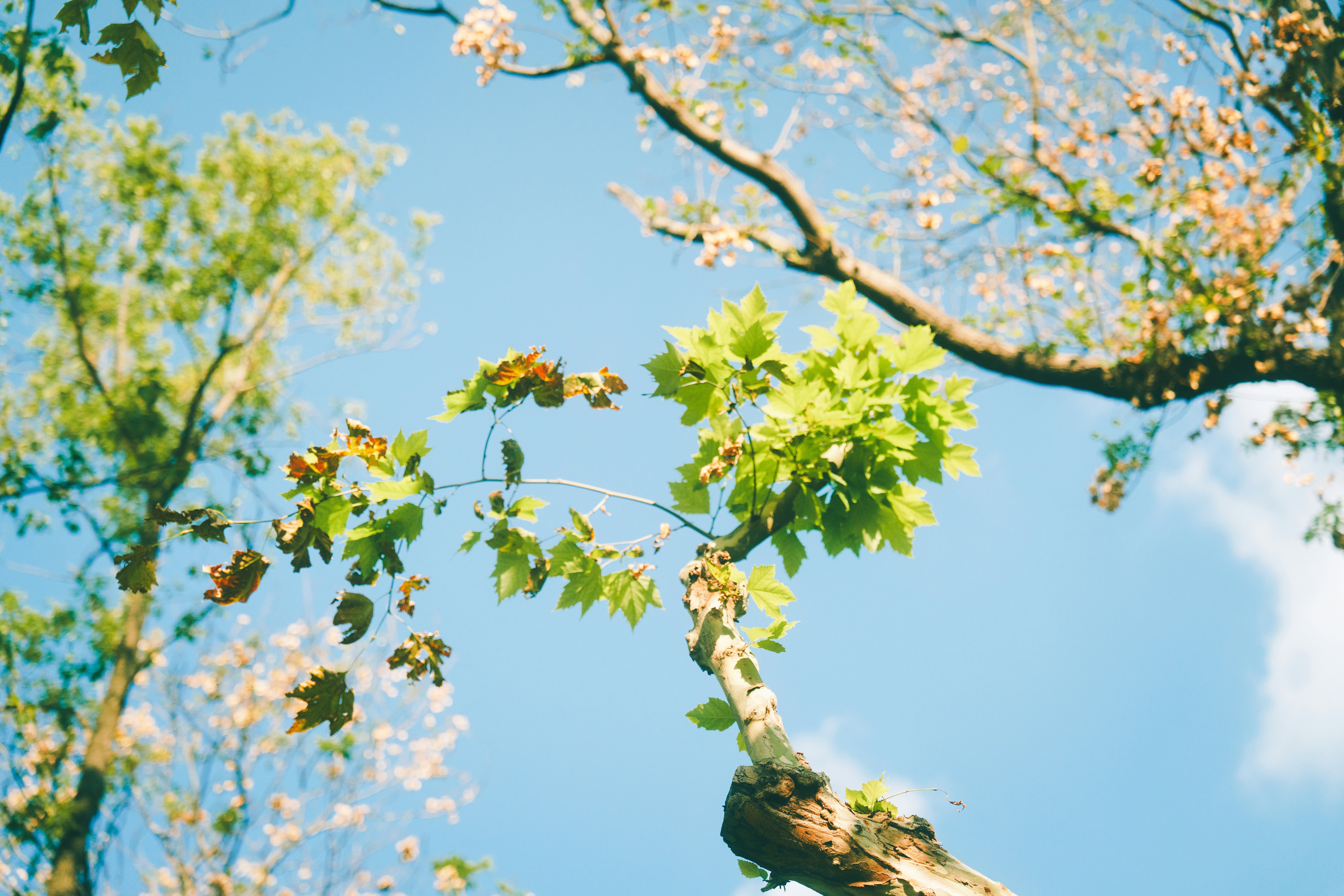 Photo by lightman0215