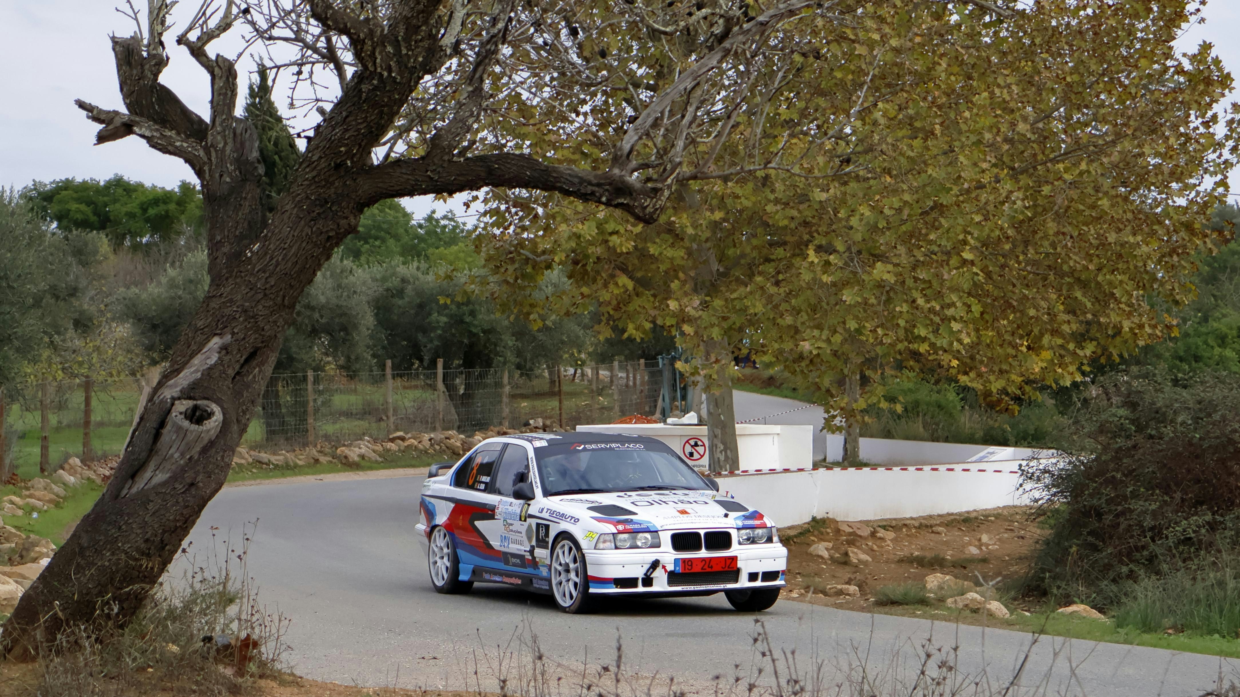 A white car driving down a road next to a tree
