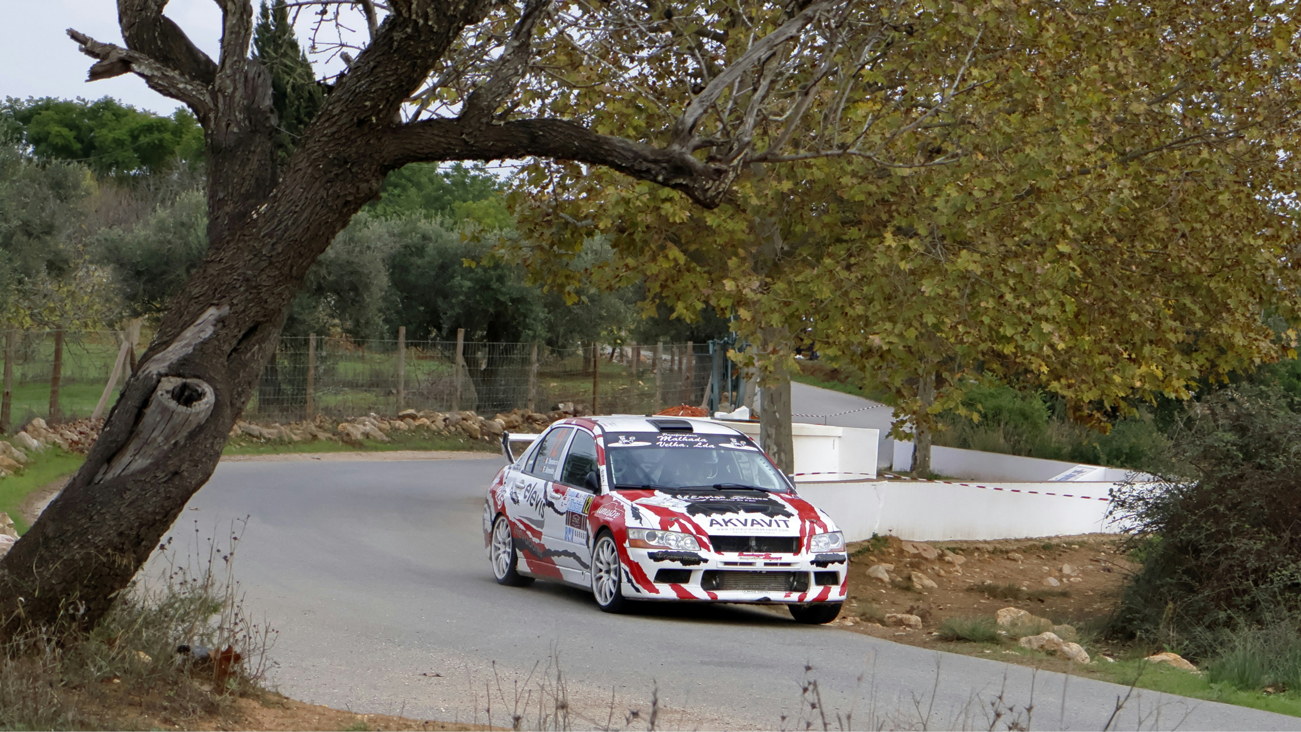 A car driving down a road next to a tree