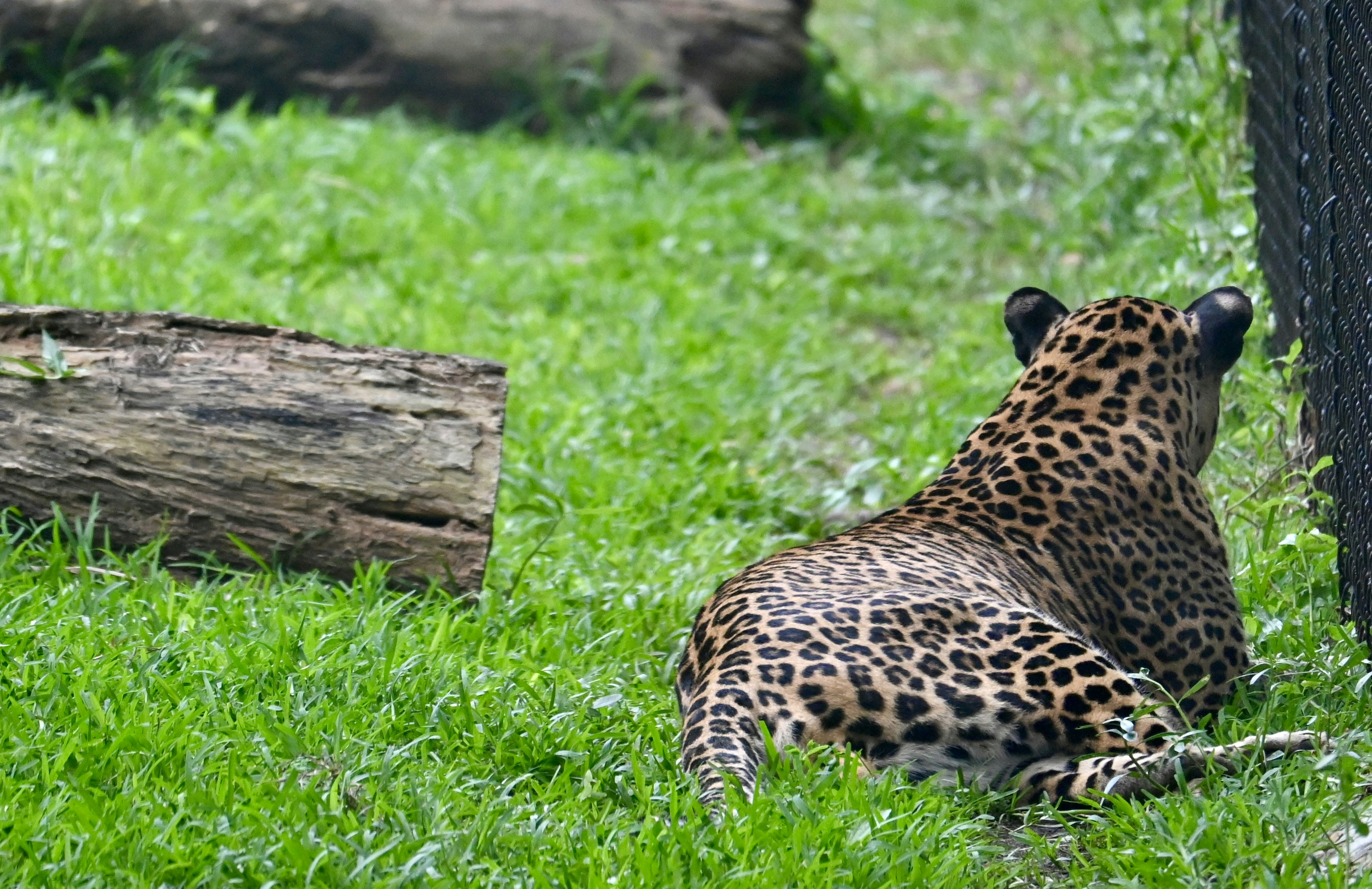 Photo by praswinprakashan