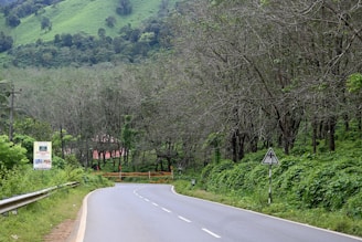 A road with a sign on the side of it