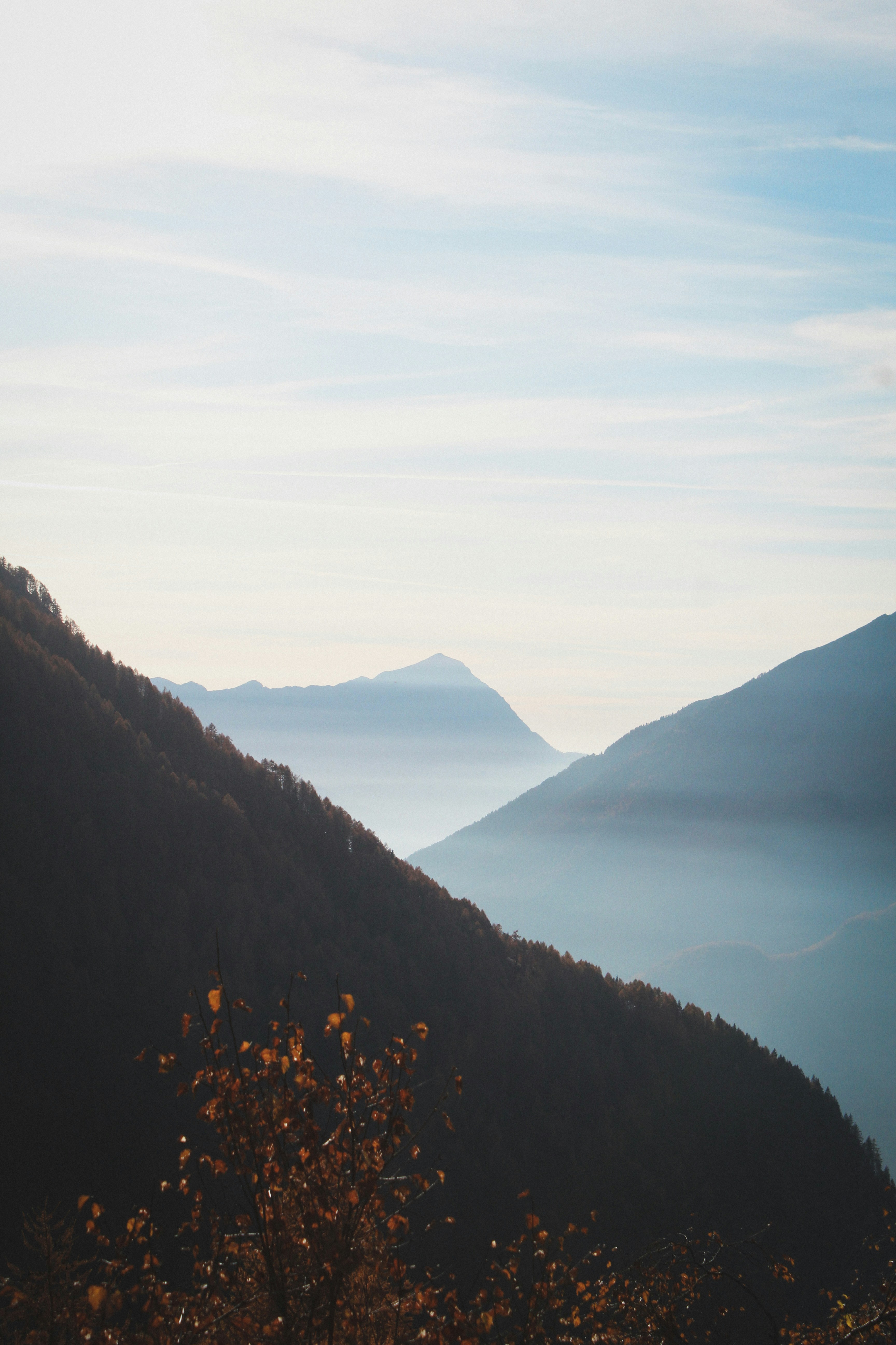 Photo by nicolafittipaldi