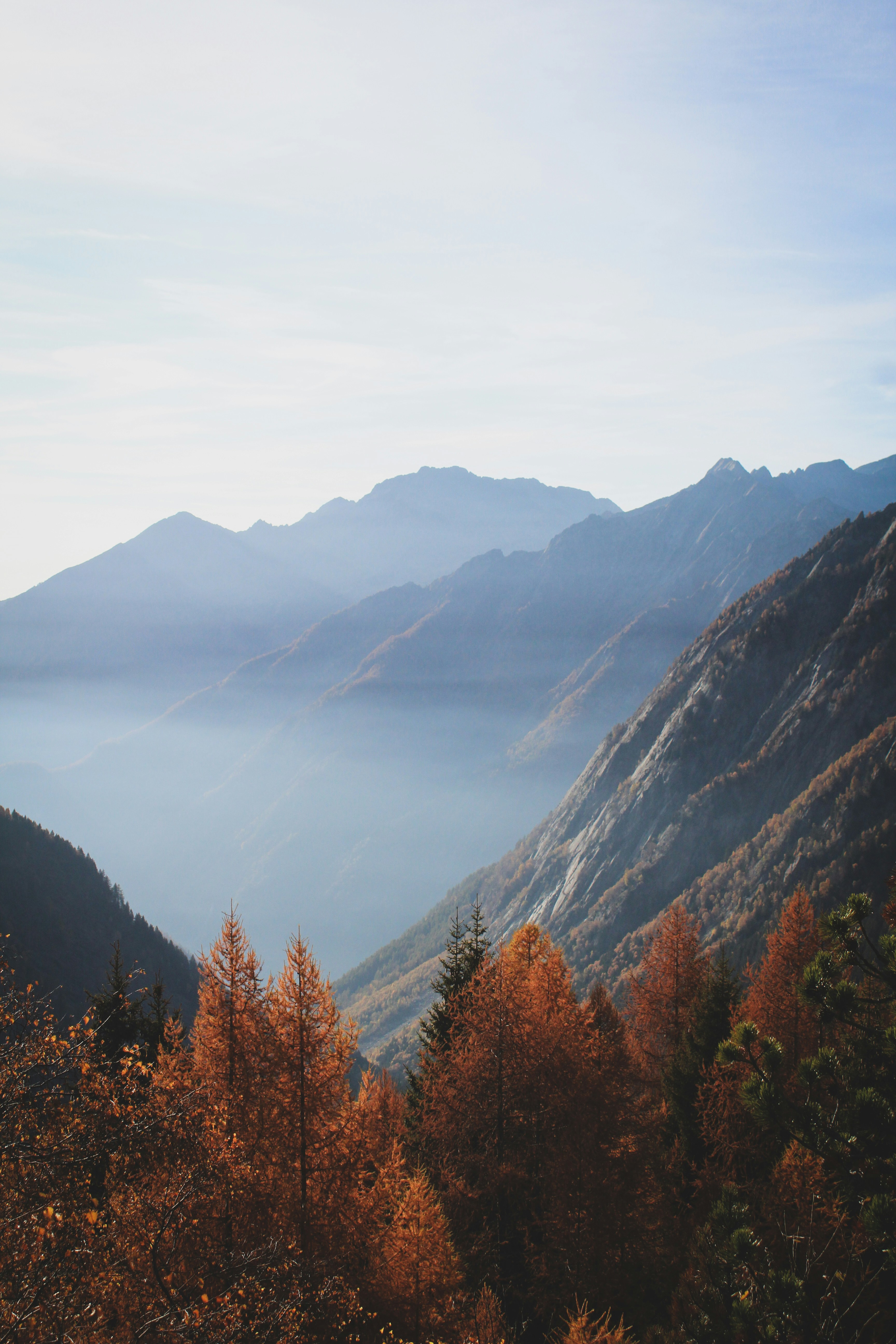 Photo by nicolafittipaldi