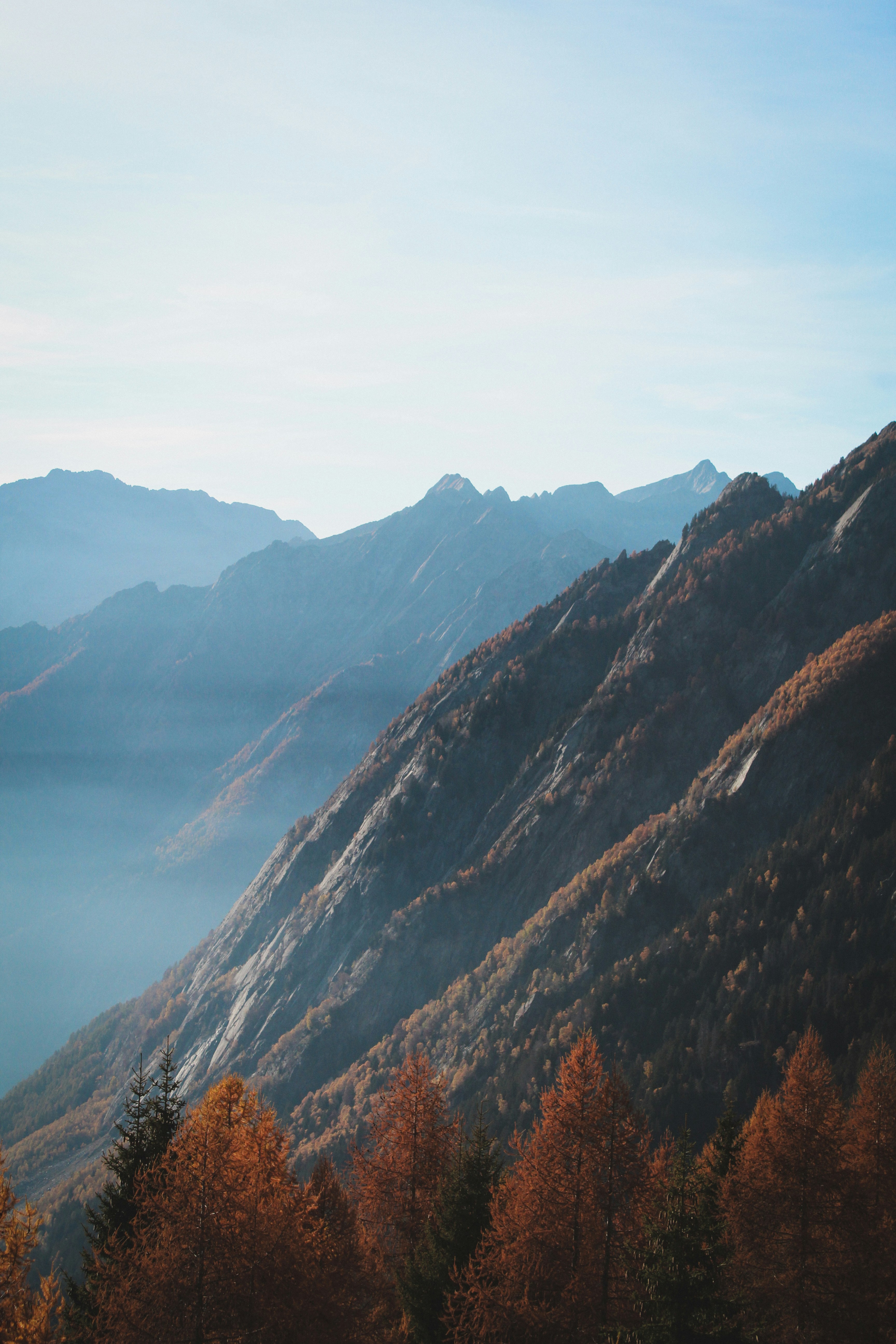 Photo by nicolafittipaldi