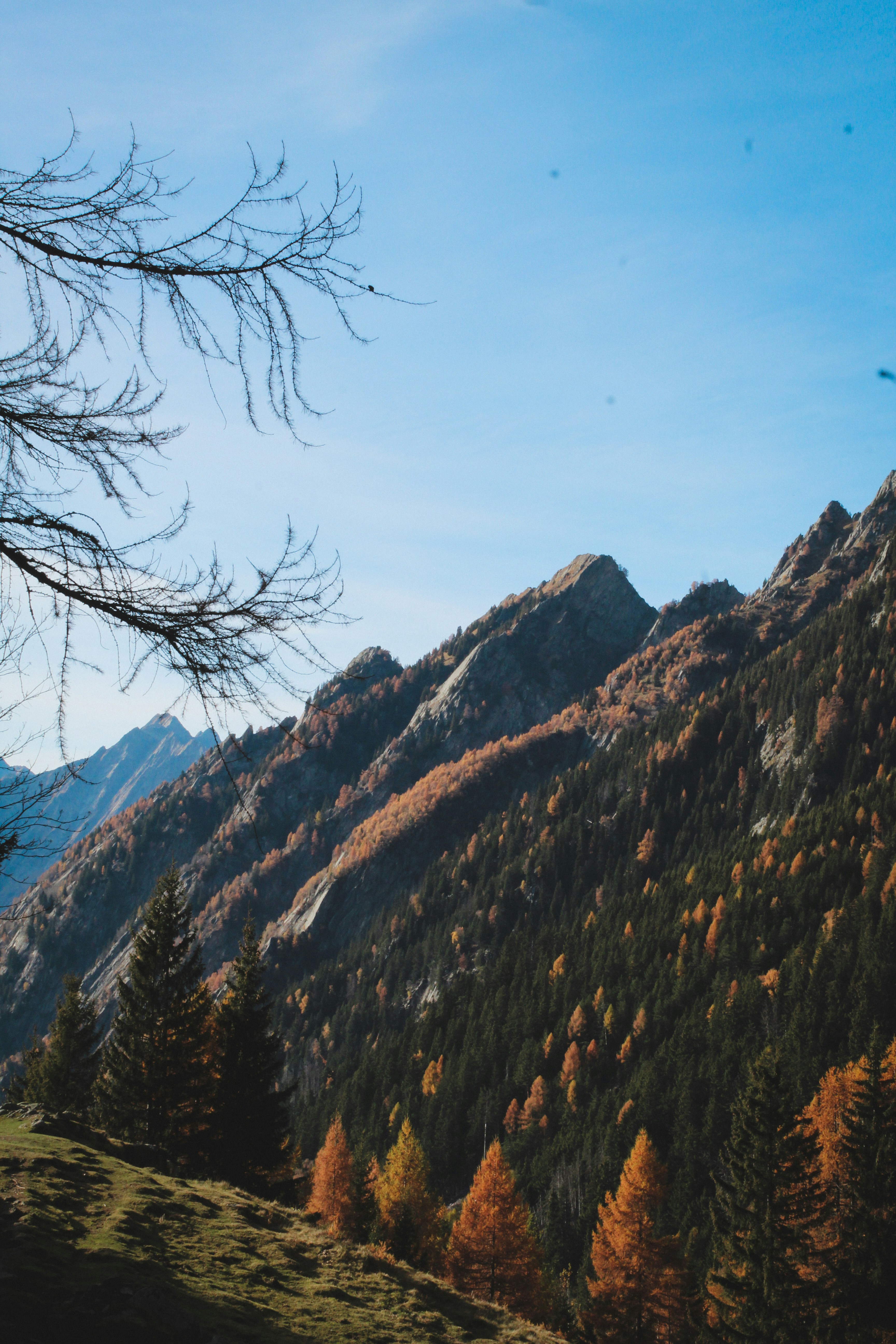 Photo by nicolafittipaldi