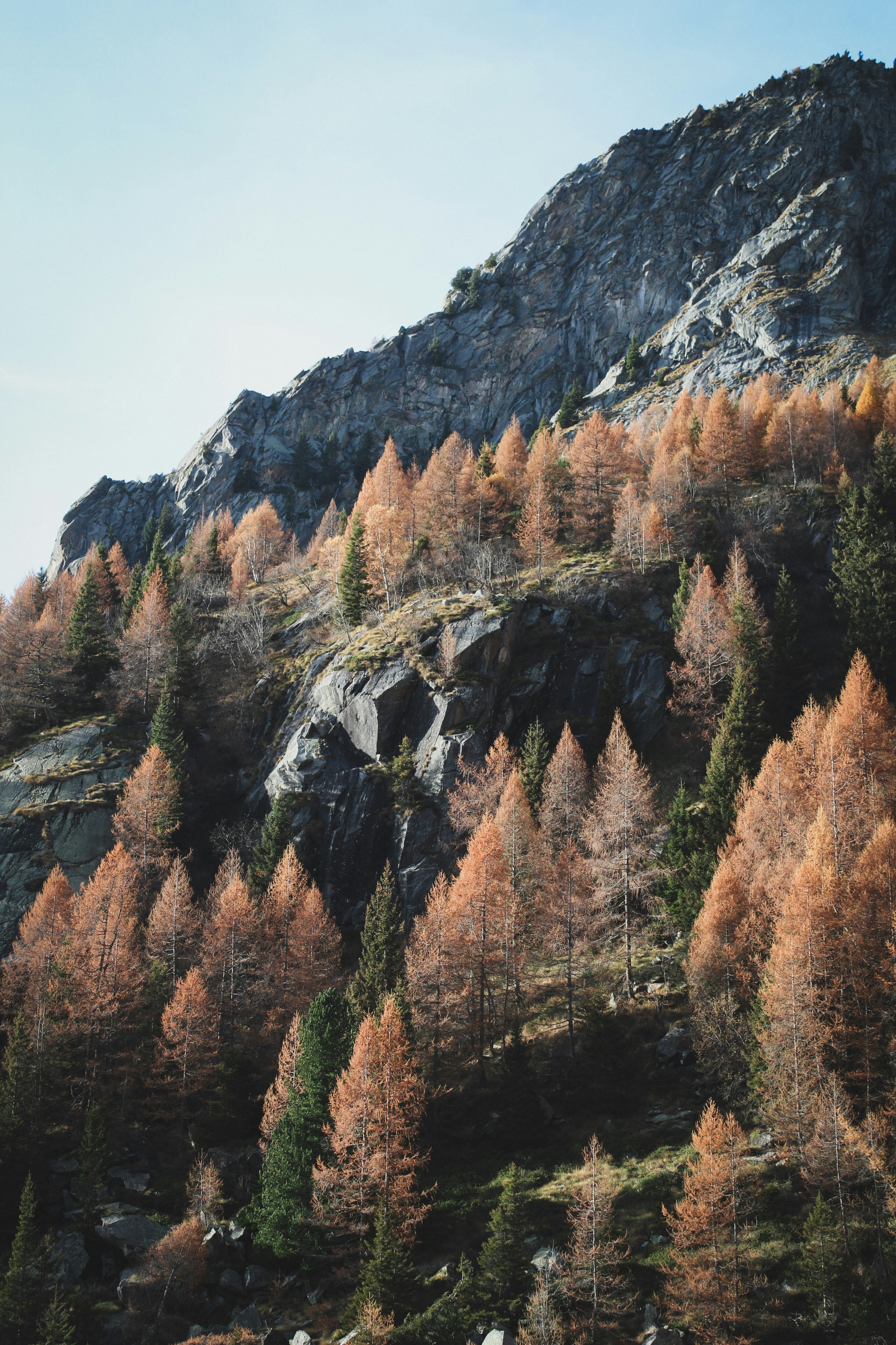 Photo by nicolafittipaldi