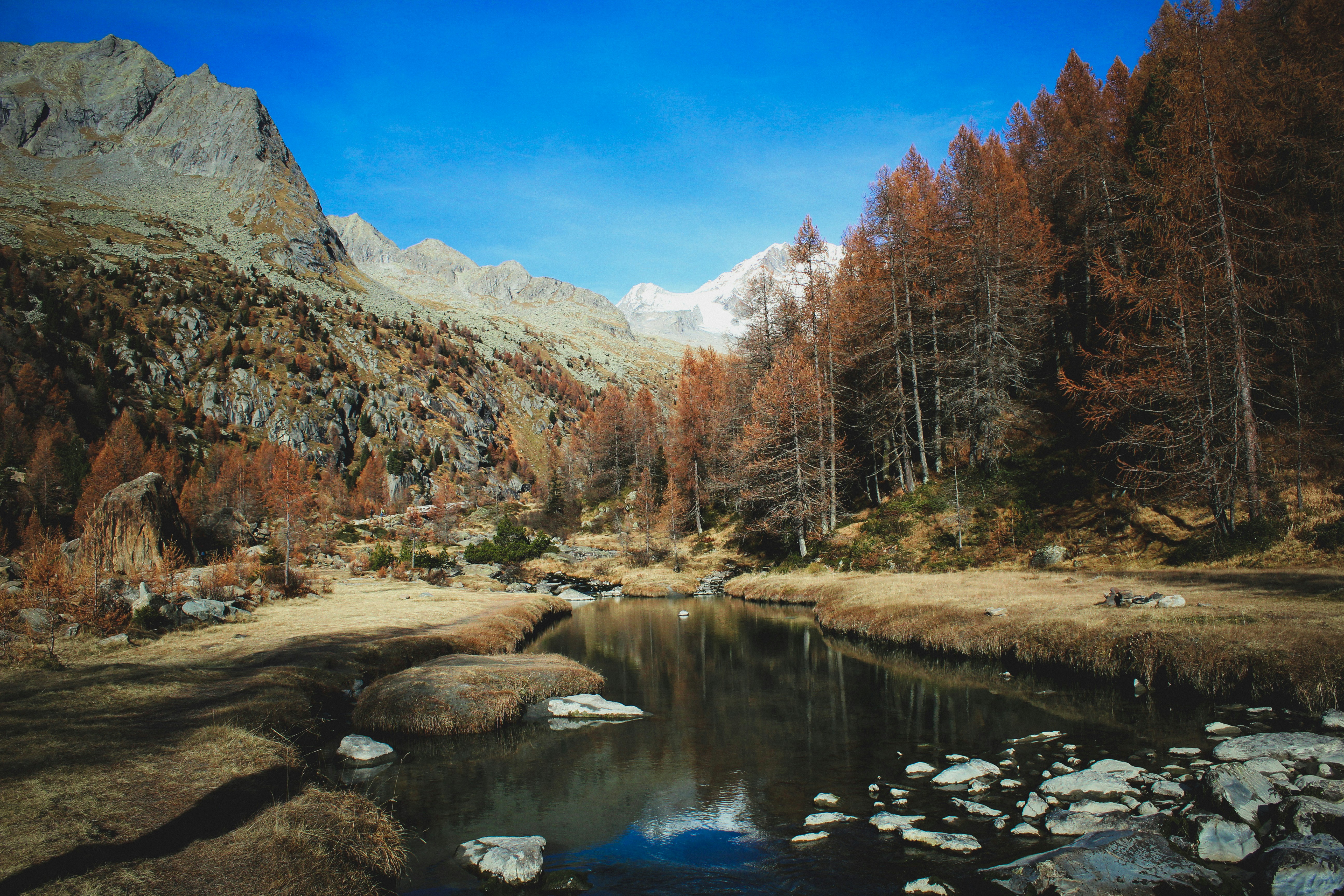 Photo by nicolafittipaldi