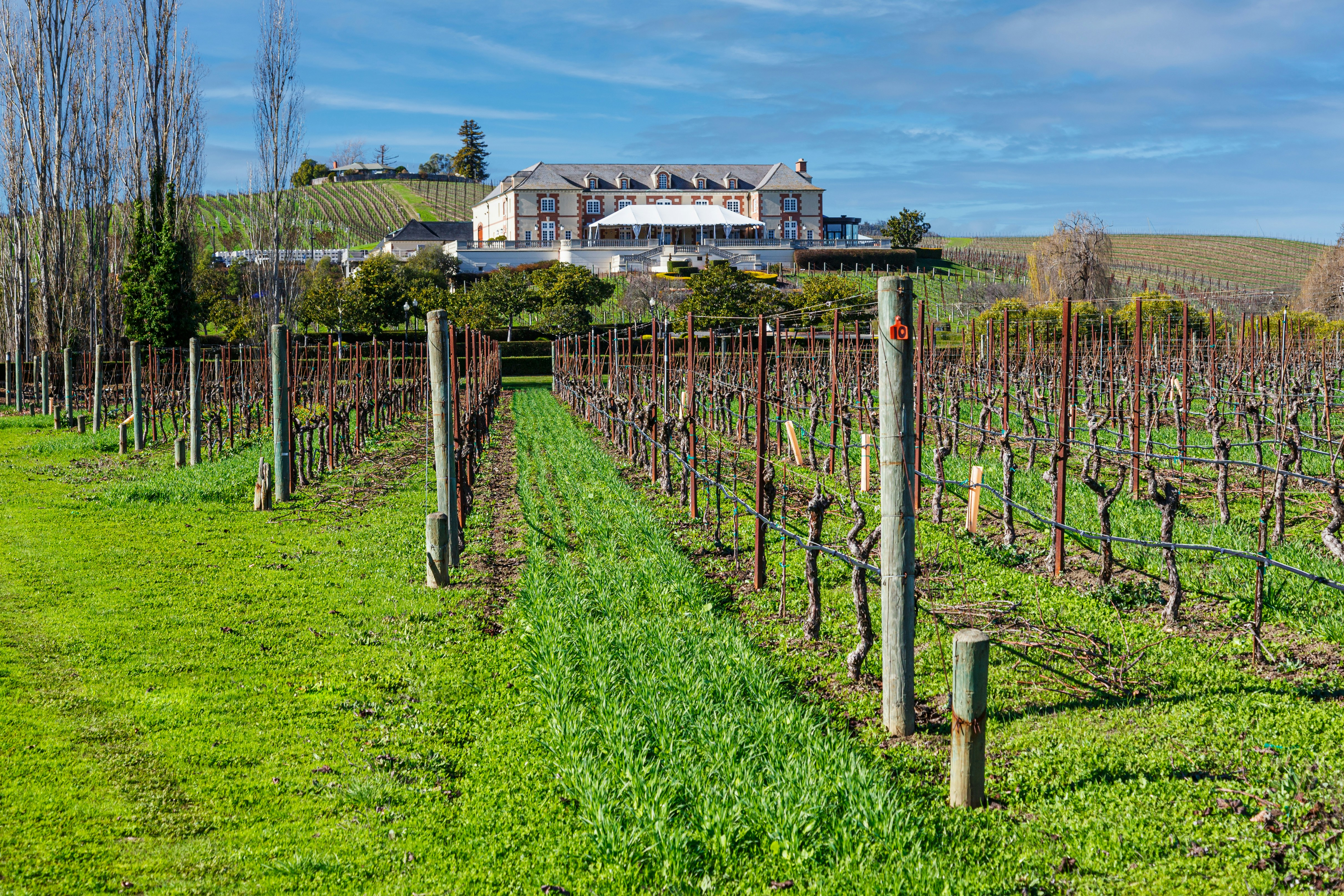 Photo by lumin_osity