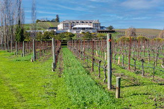 A large house in the middle of a field