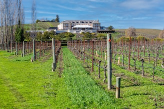 A large house in the middle of a field