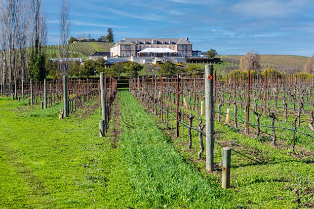 A large house in the middle of a field