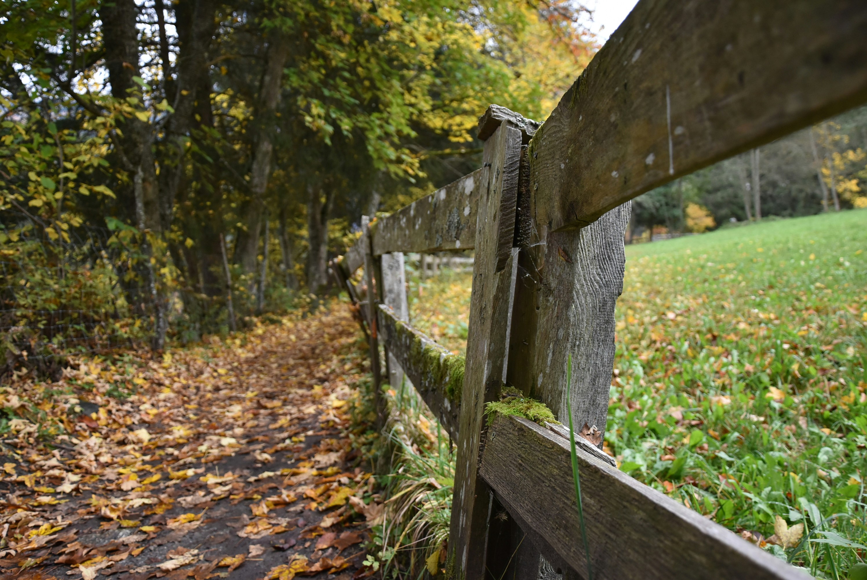 Photo by welcometojo_