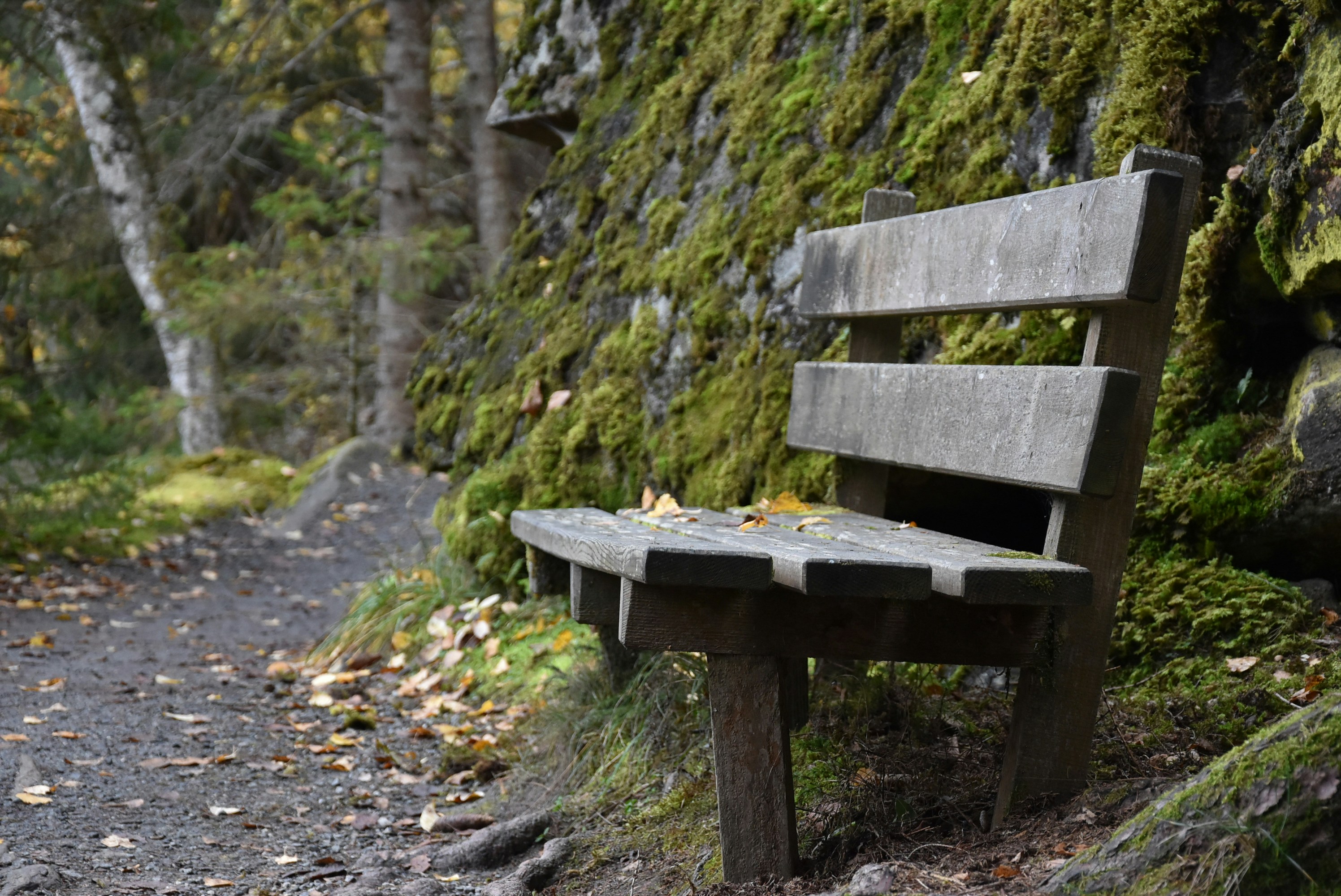 Photo by welcometojo_