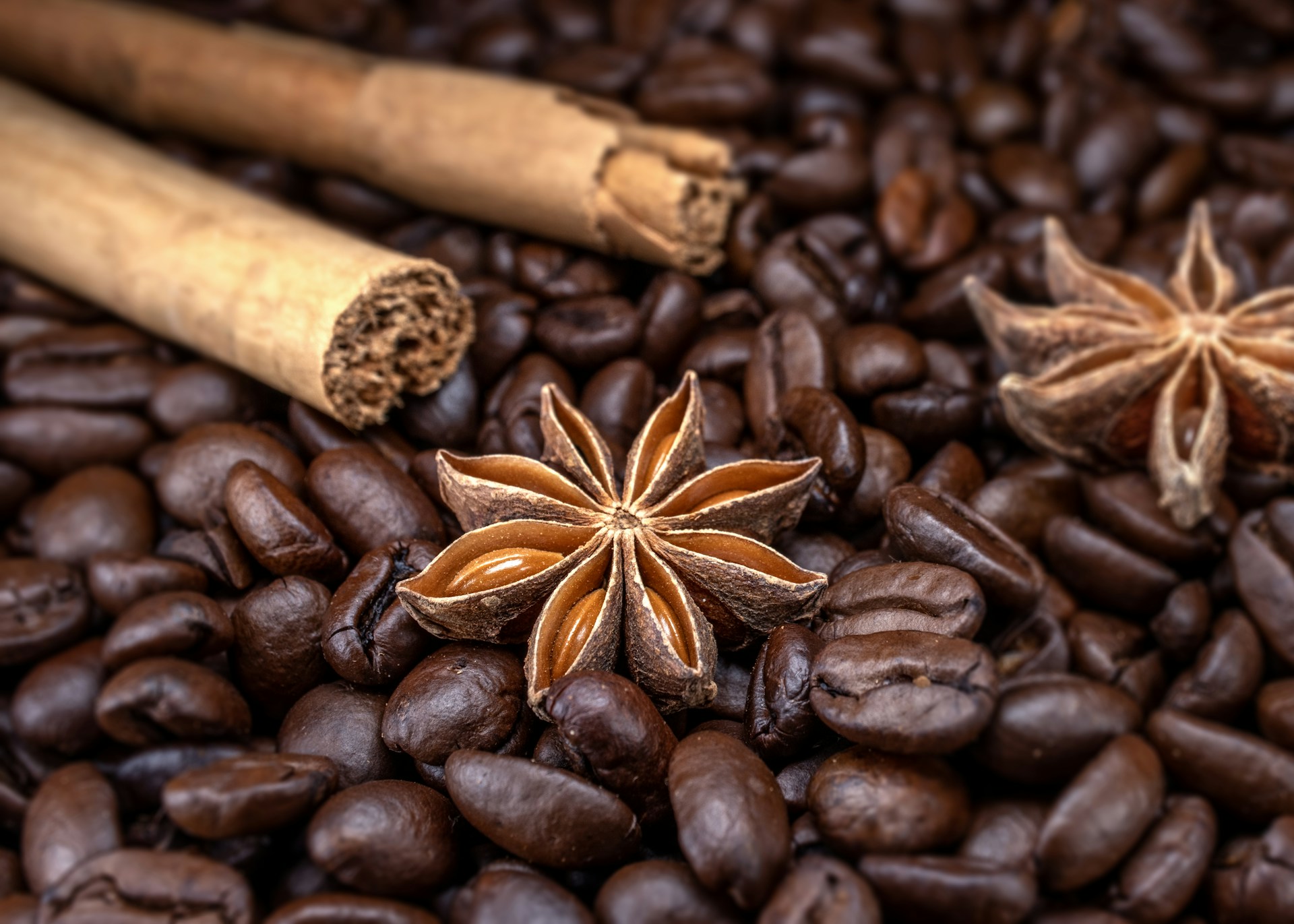 Cinnamons, star anise, and cinnamon sticks on coffee beans