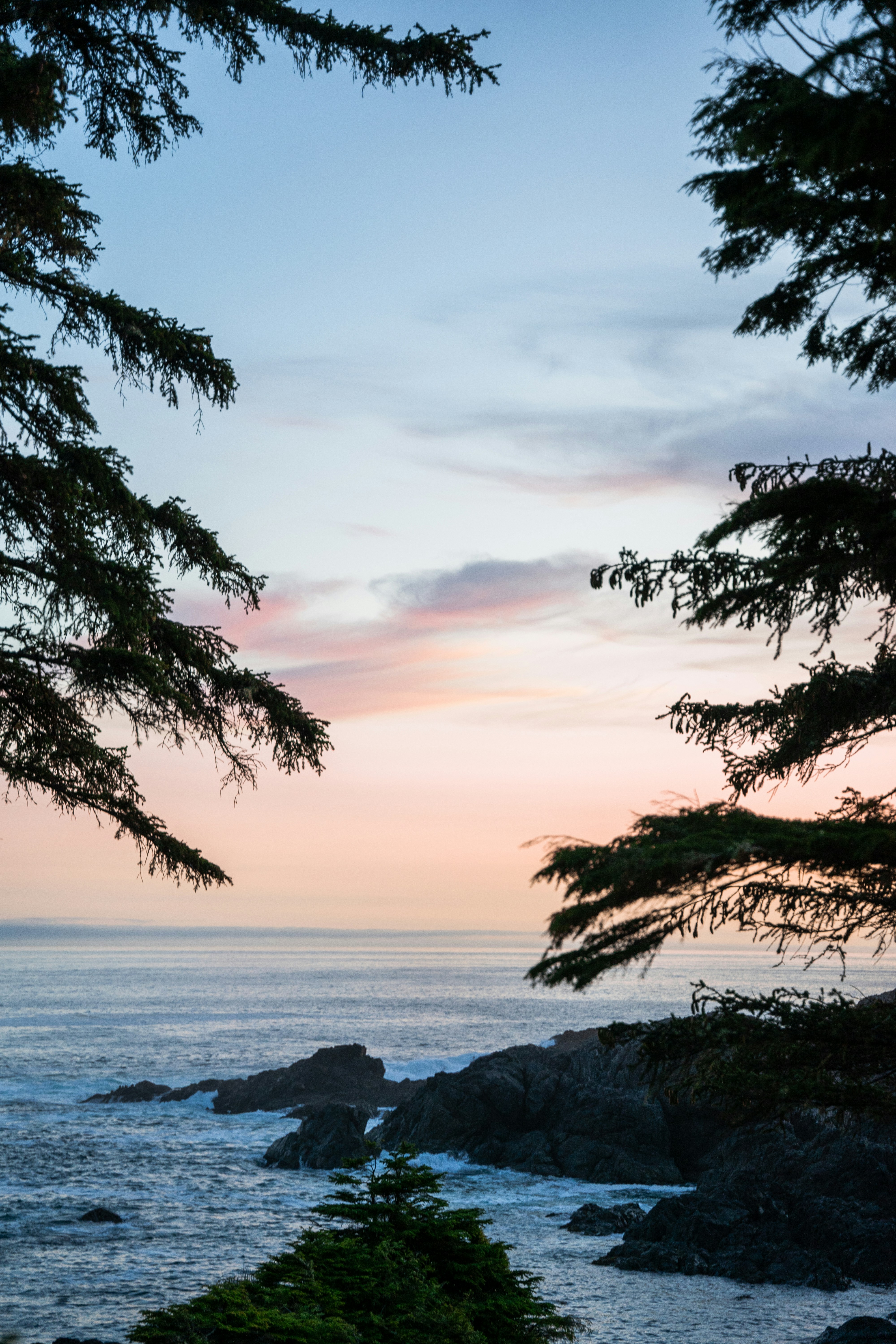 Securing Your Mobile Device: A Step-by-step Guide