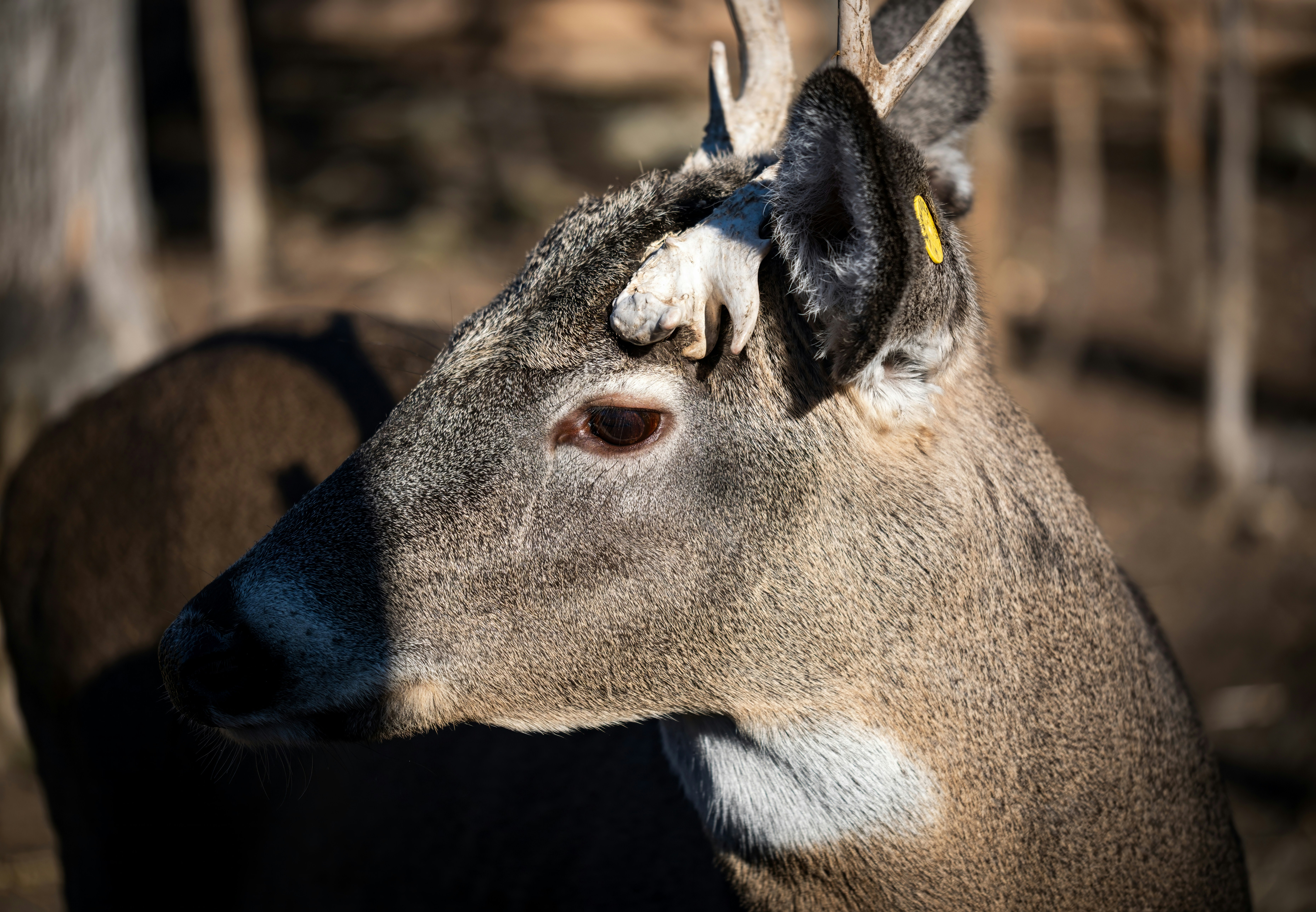 Photo by alexandredaoust