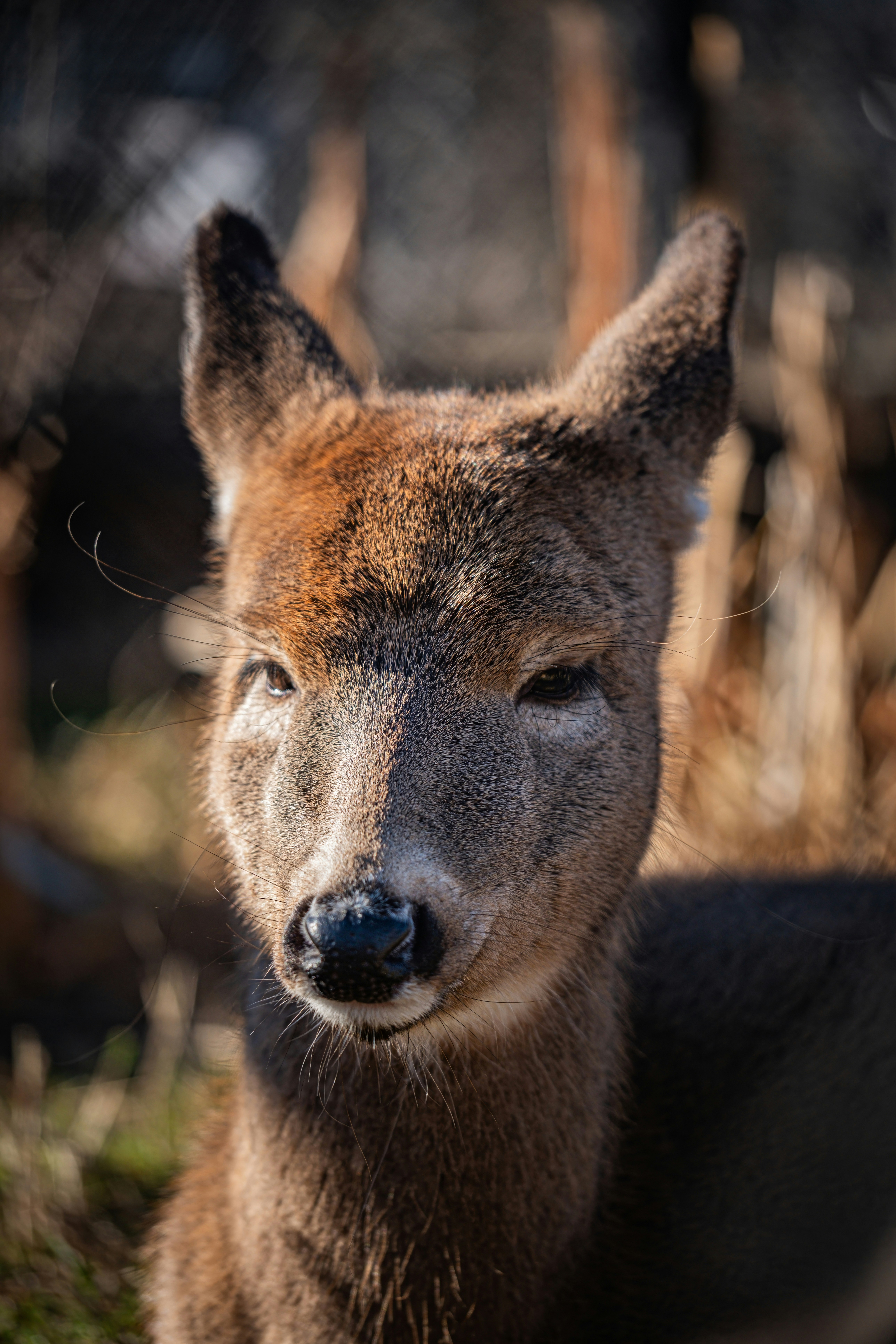 Photo by alexandredaoust