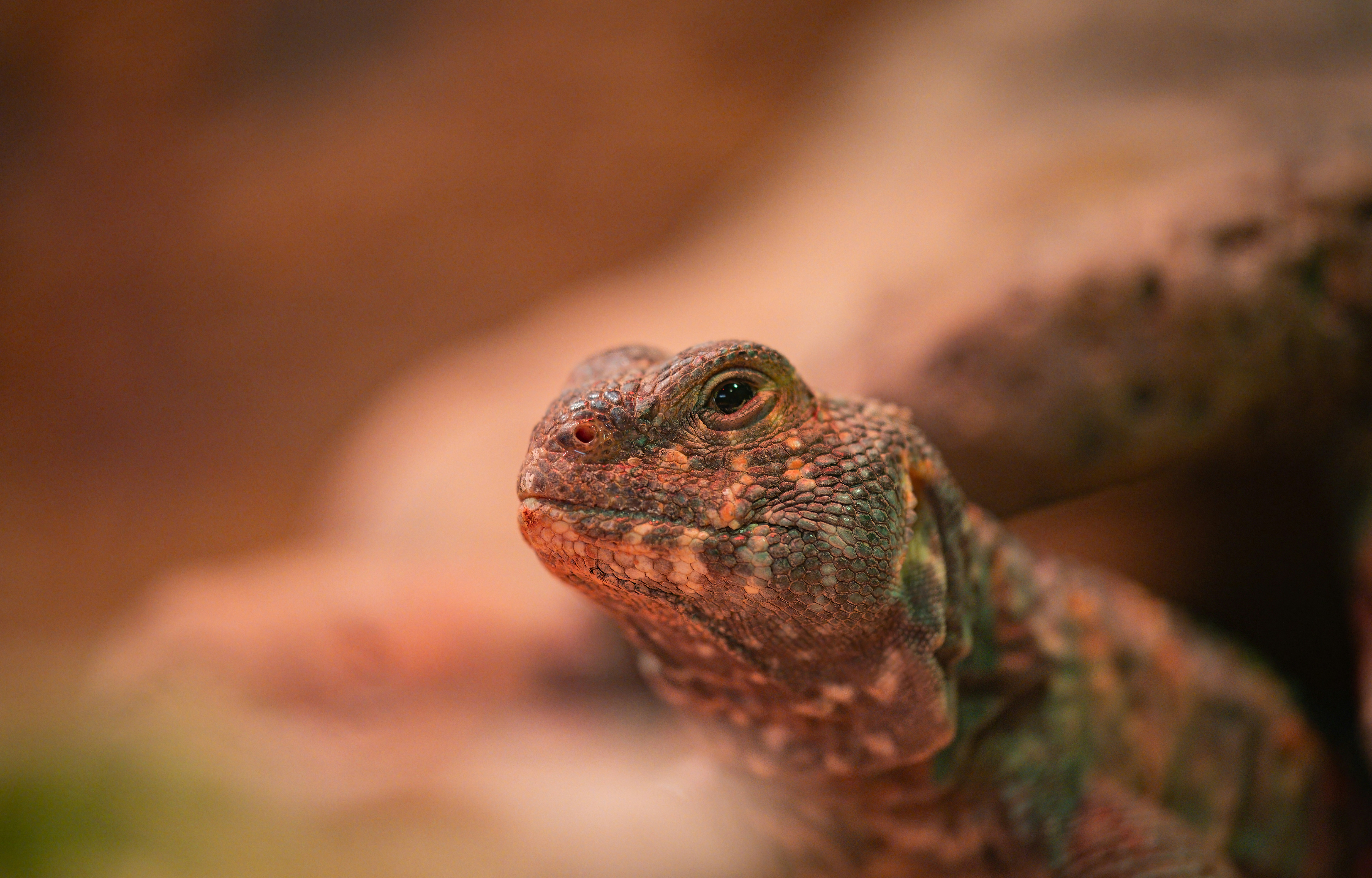 Photo by alexandredaoust