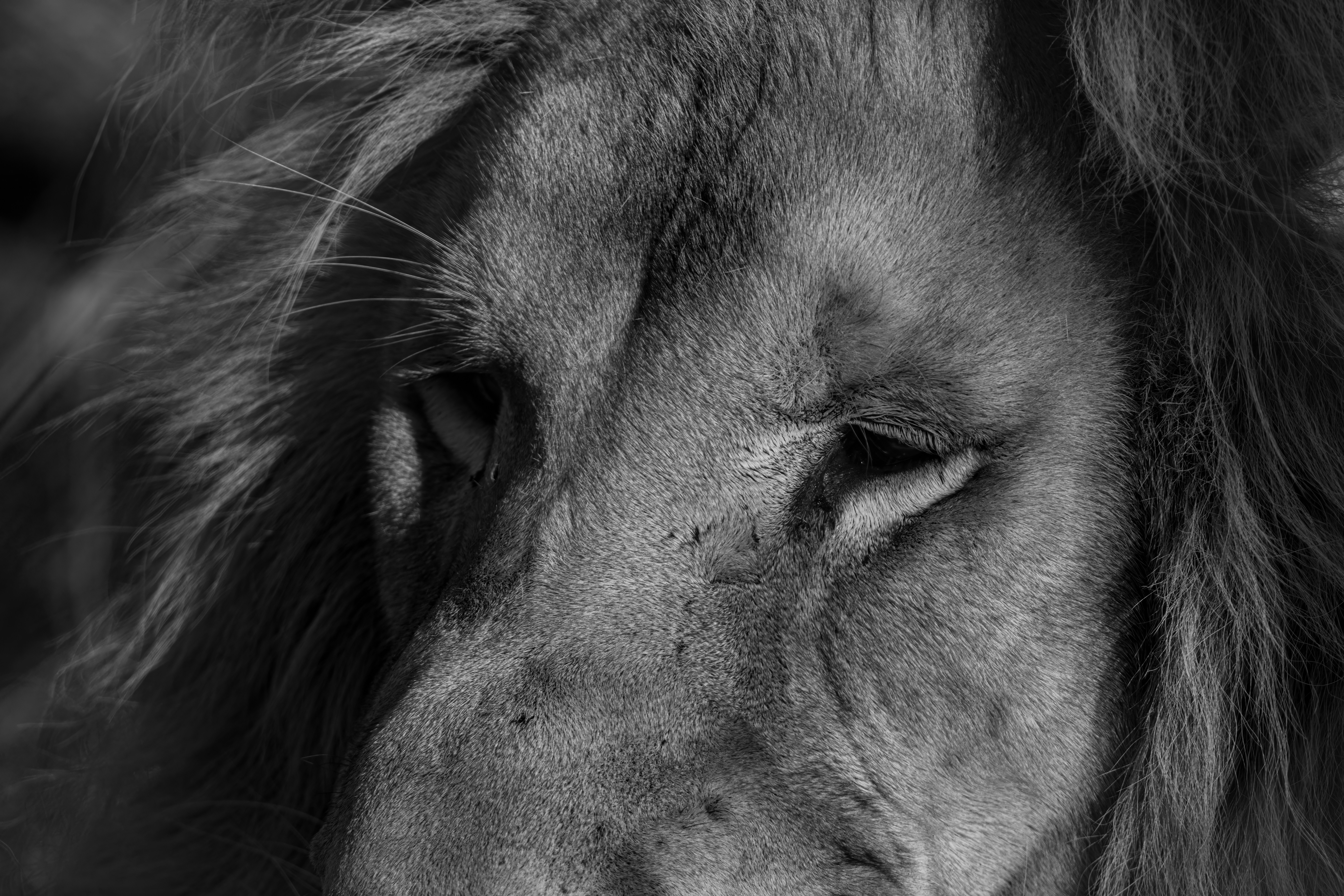 Photo by alexandredaoust