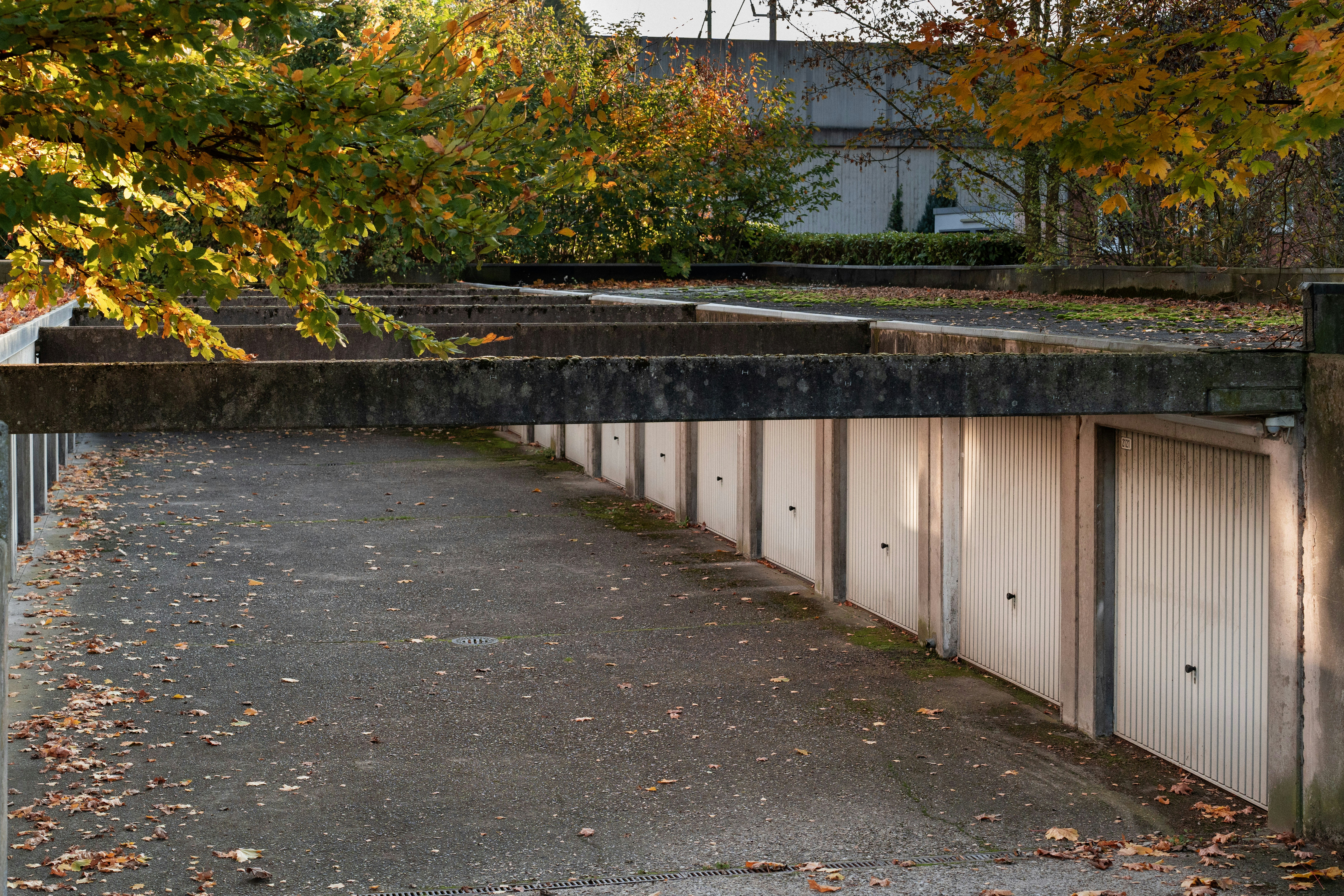 Photo by sorinbasangeac