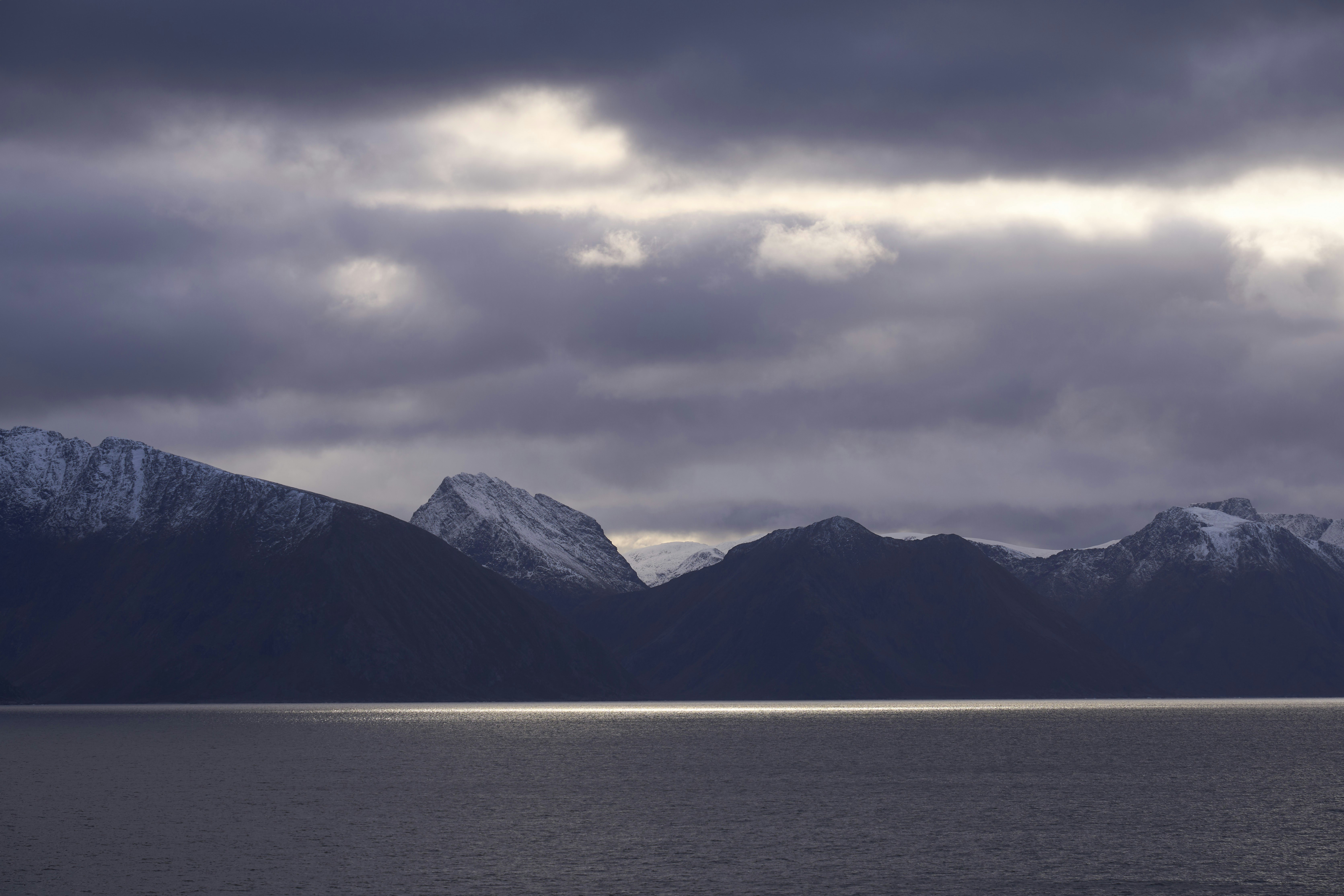 Photo by wolfgang_hasselmann