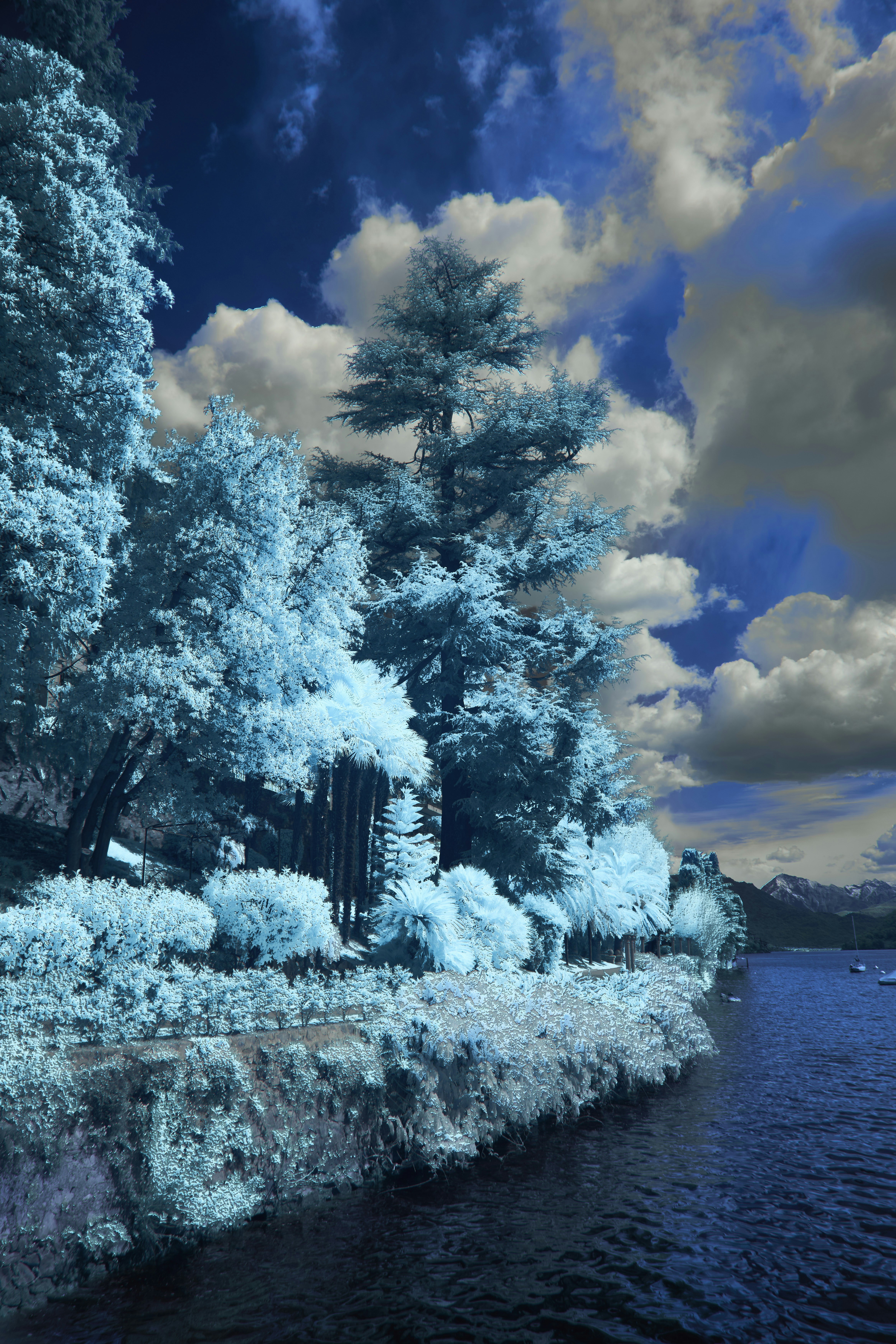 Photo by wolfgang_hasselmann