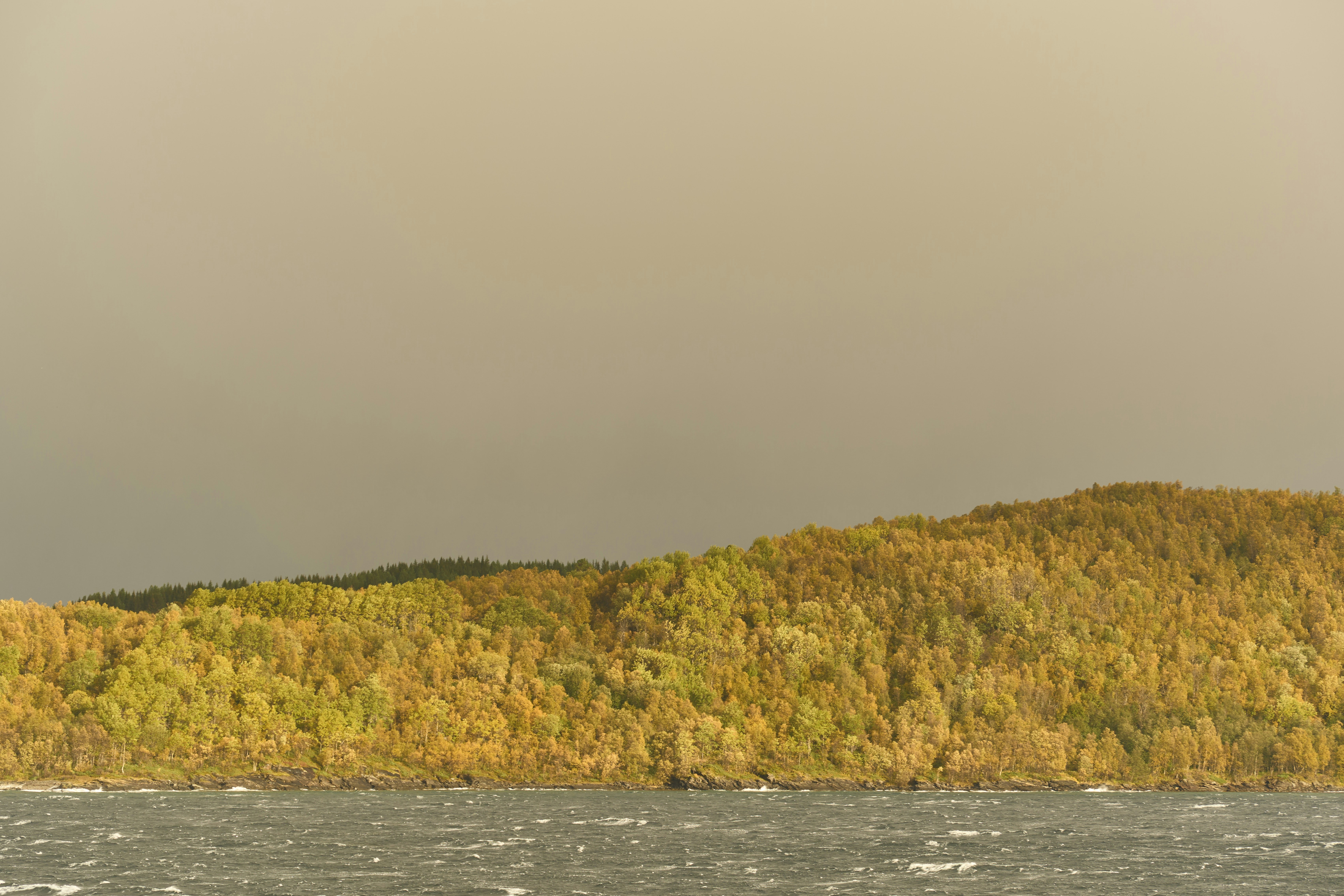 Photo by wolfgang_hasselmann