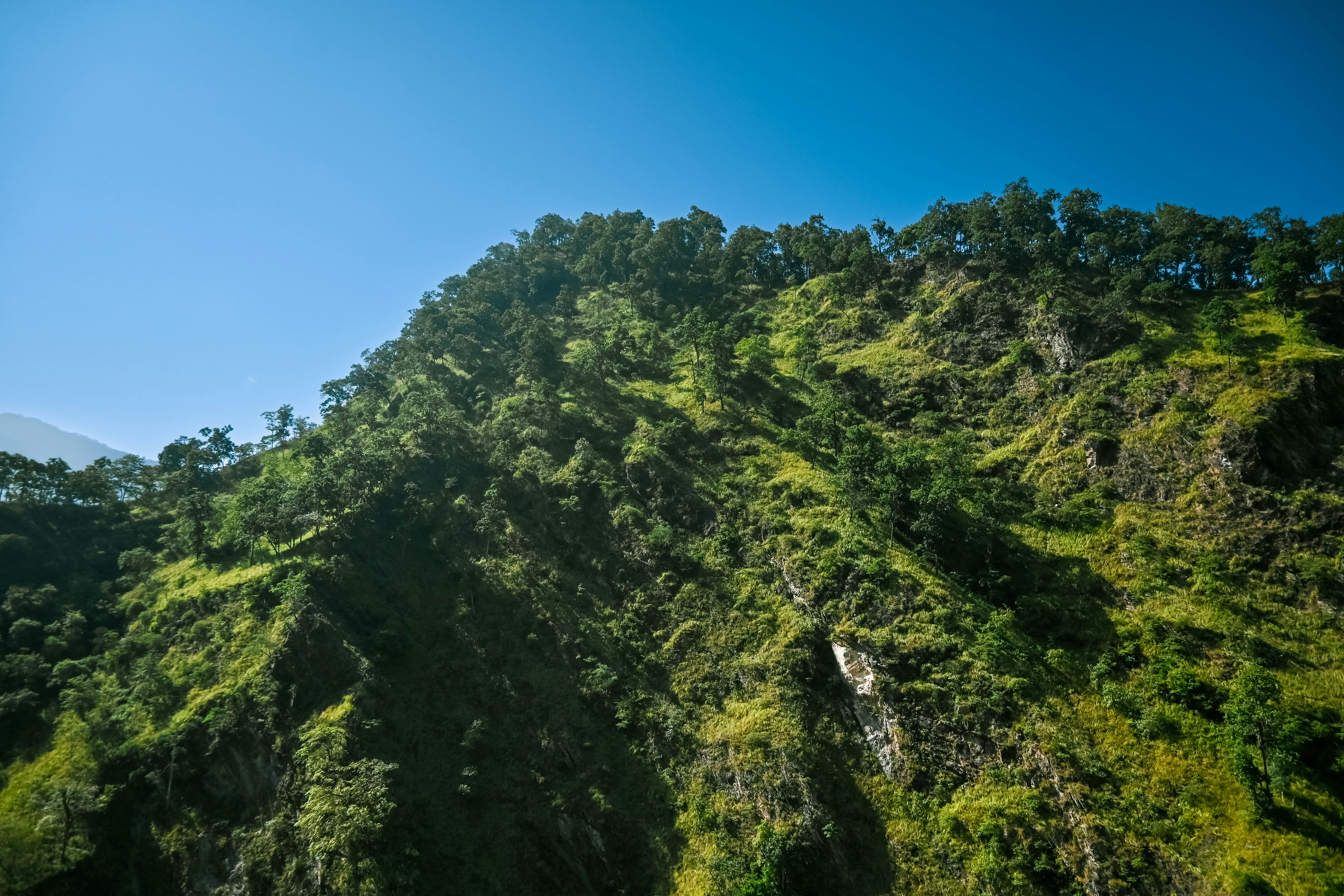 Photo by ujjwalchettri